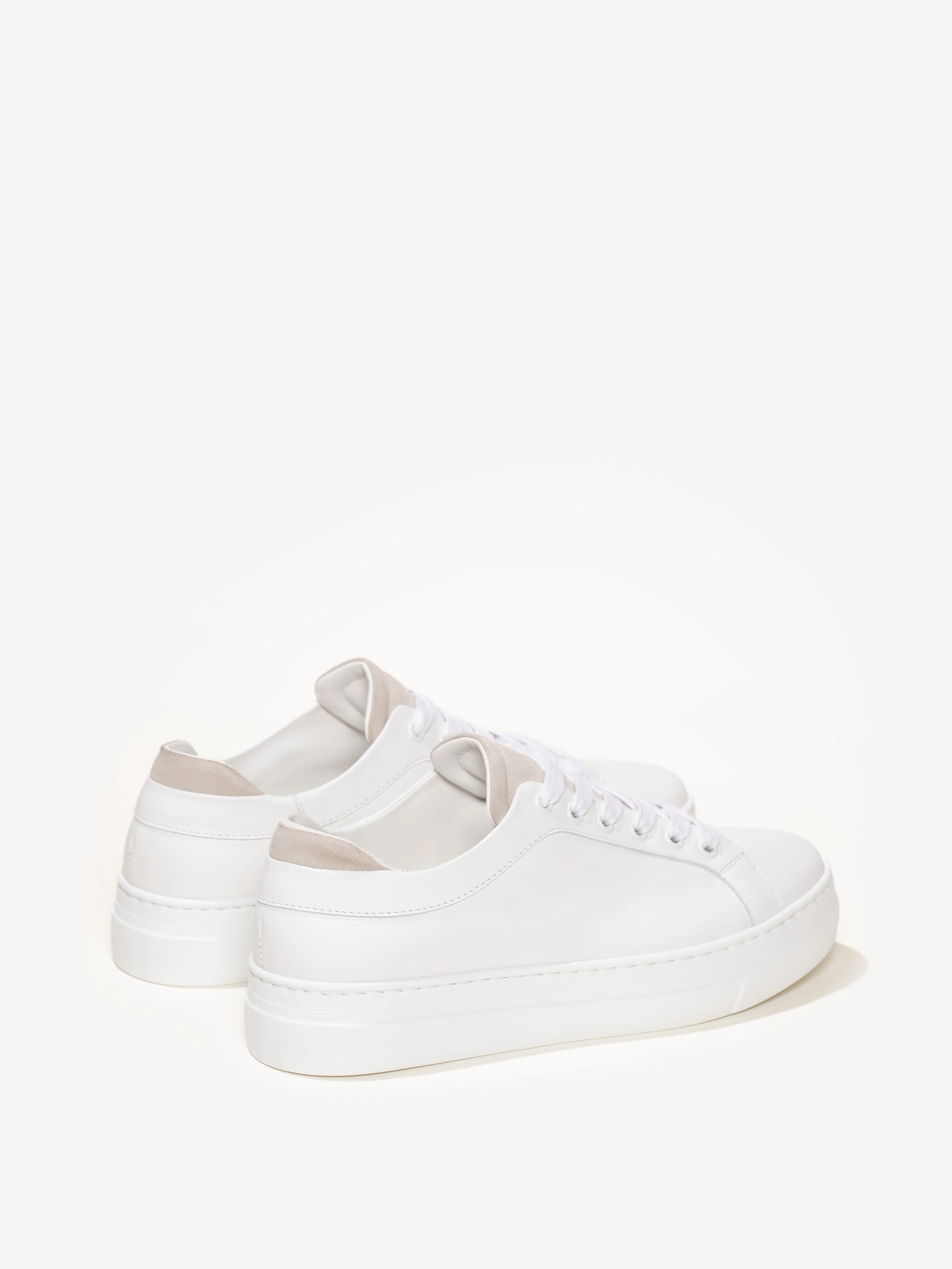 The Palestra Alta (Sample Sale) - Image 3