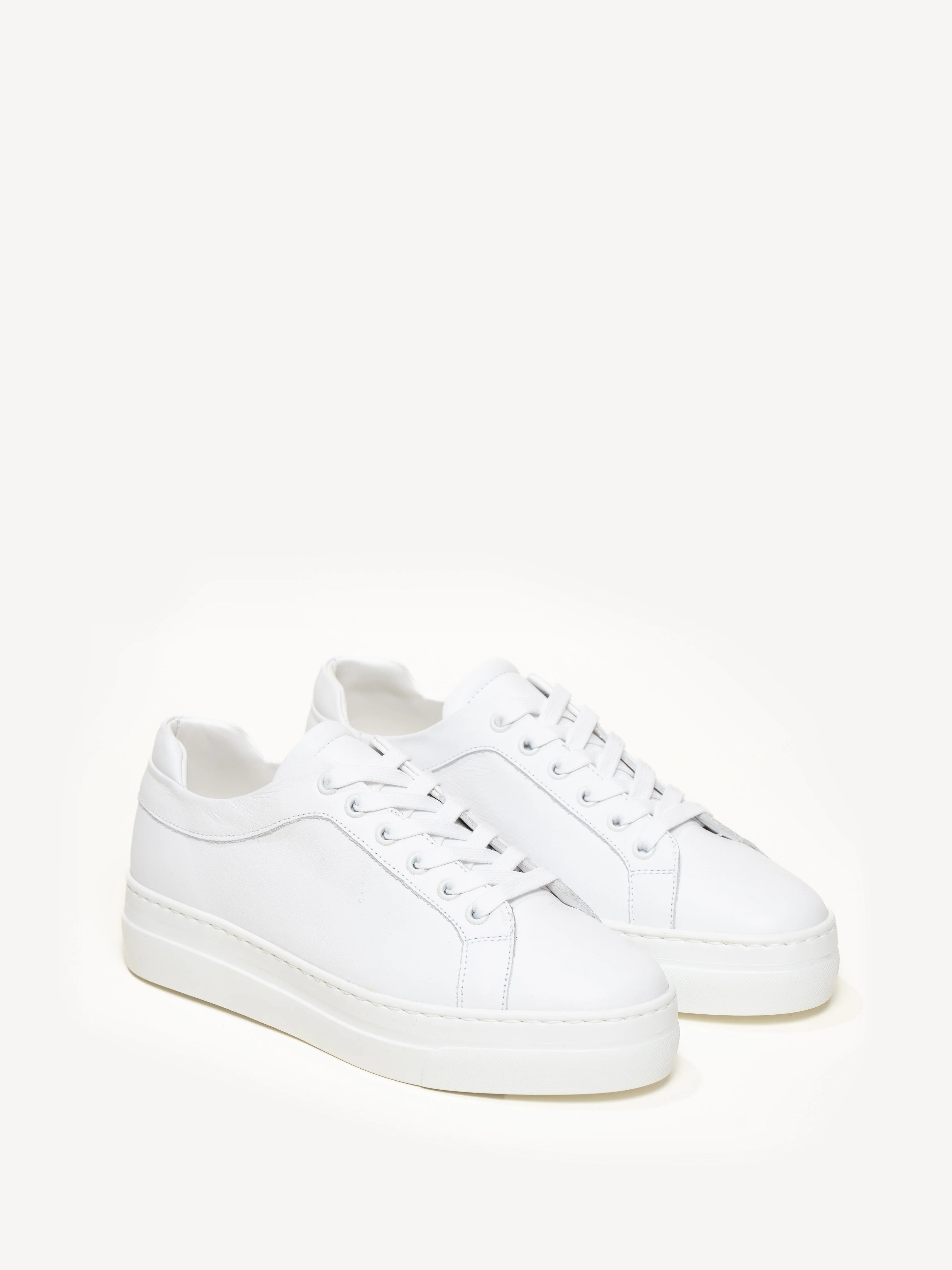 The Palestra Alta (Sample Sale) - Image 2