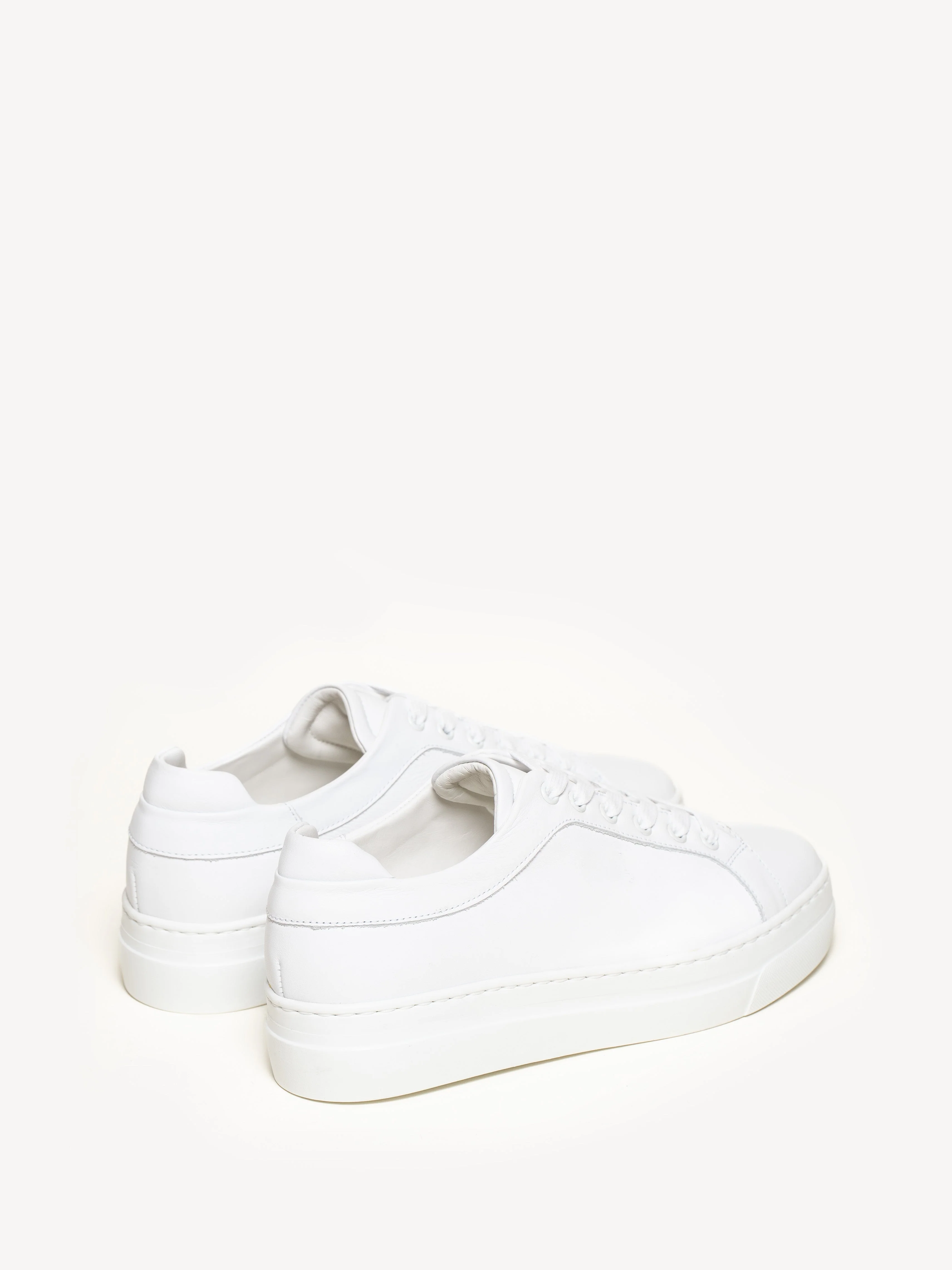 The Palestra Alta (Sample Sale) - Image 3