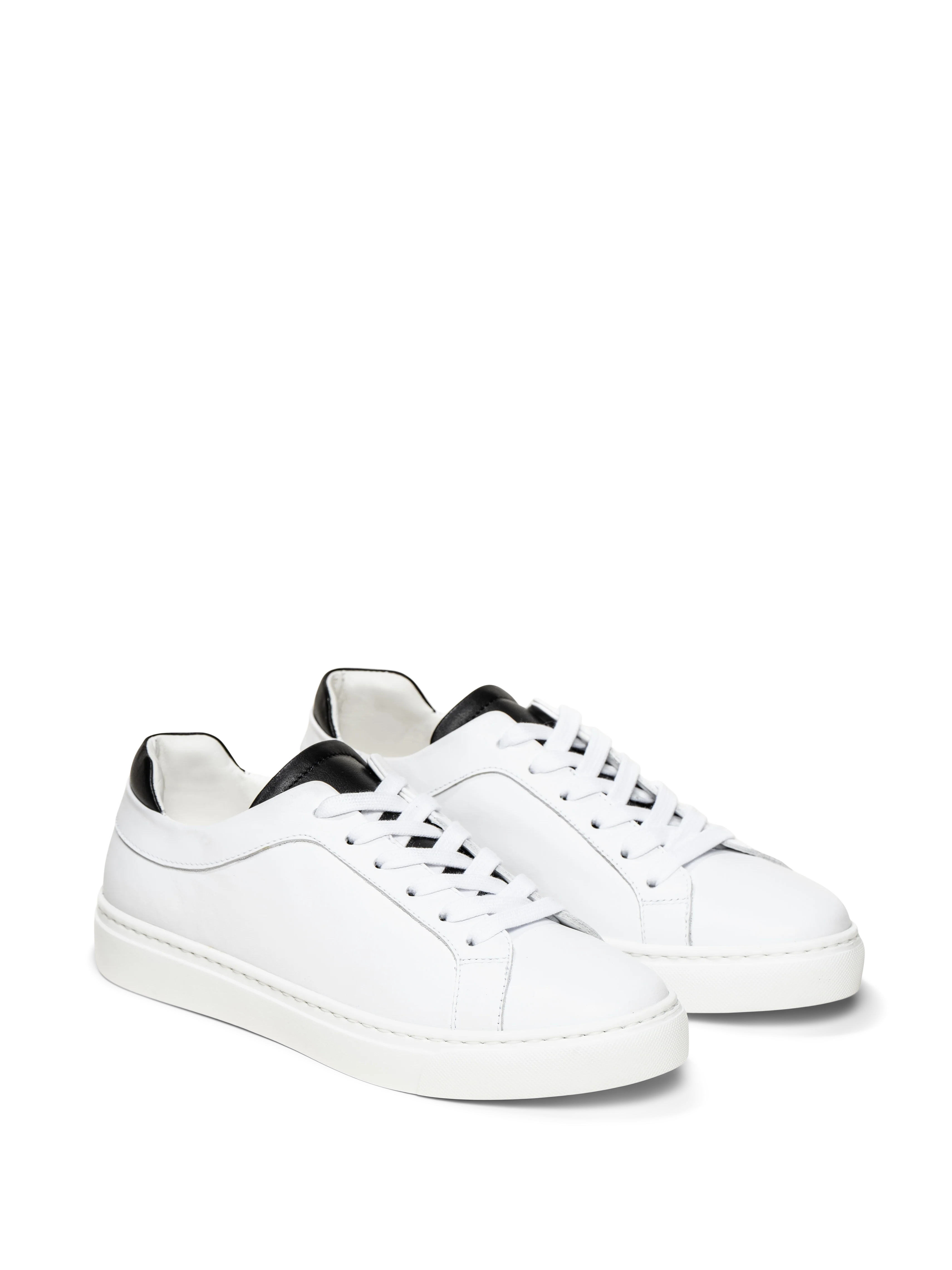 The Palestra Due (Test) - Image 11