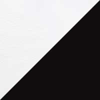 The Palestra Due (Test) - Image 6