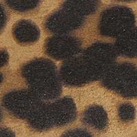 The Palestra Due (Test) - Image 8