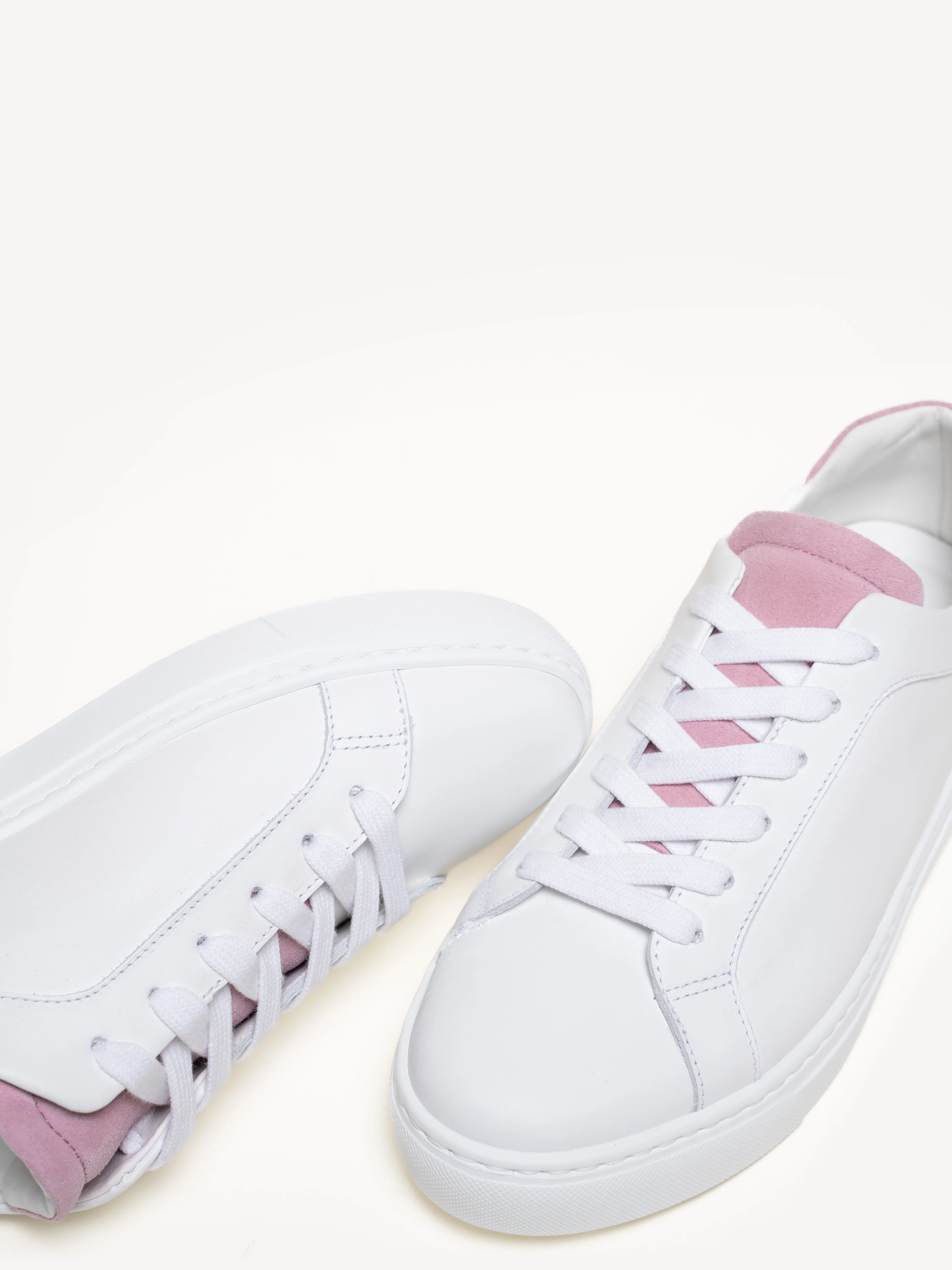 The Palestra Due (Sample Sale) - Image 4