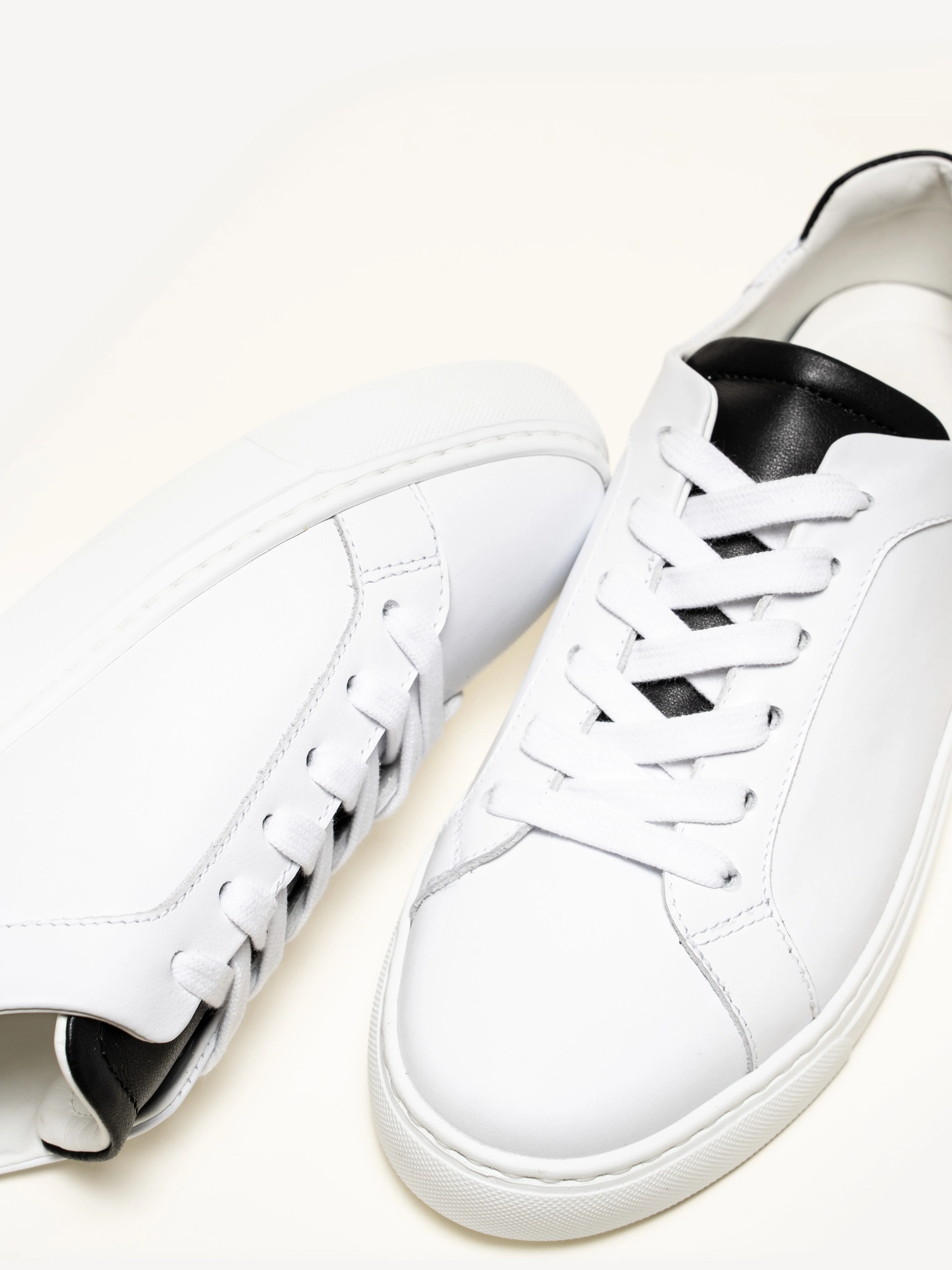 The Palestra Due (Sample Sale) - Image 4