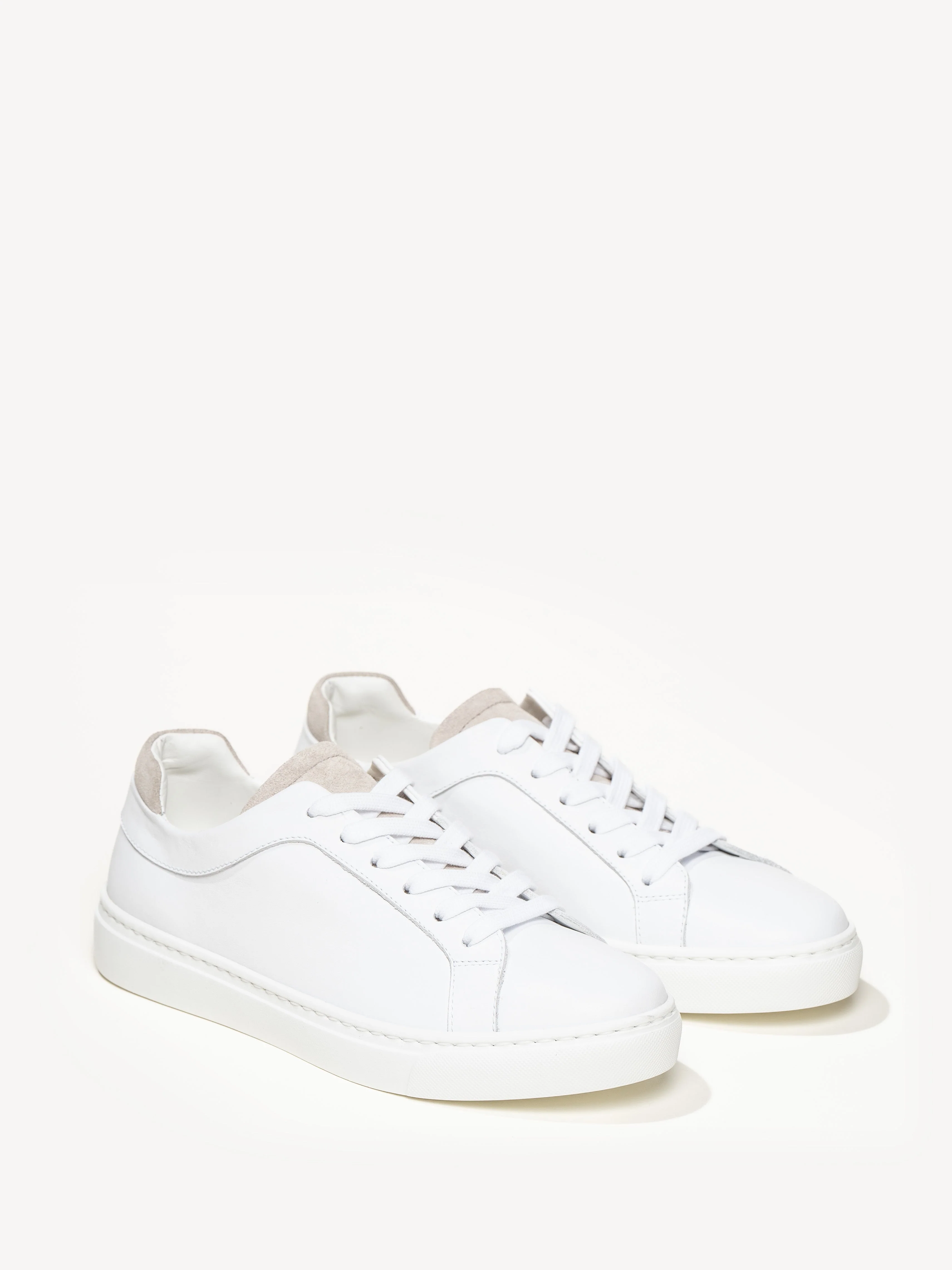 The Palestra Due (Sample Sale) - Image 2