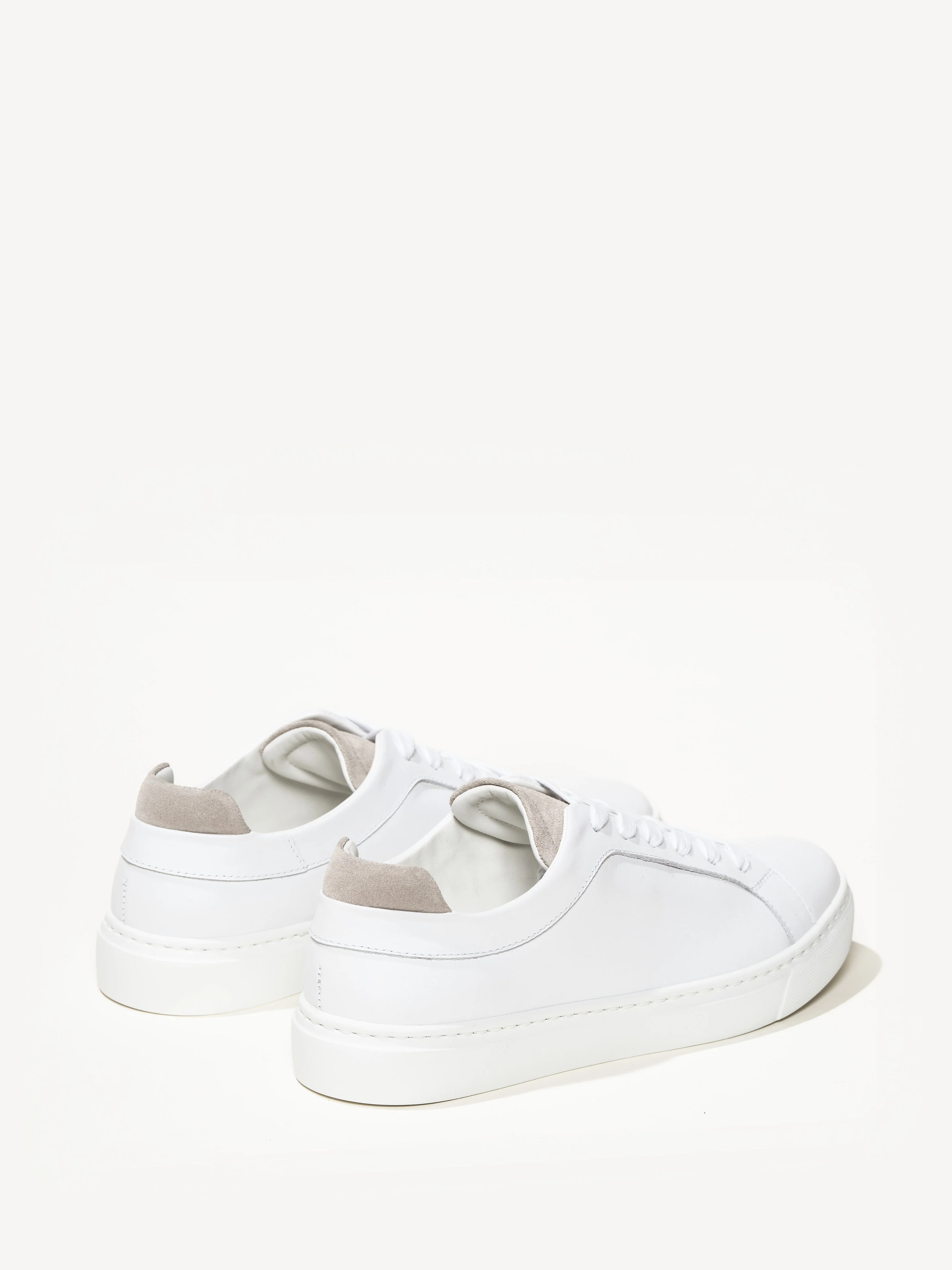 The Palestra Due (Sample Sale) - Image 3