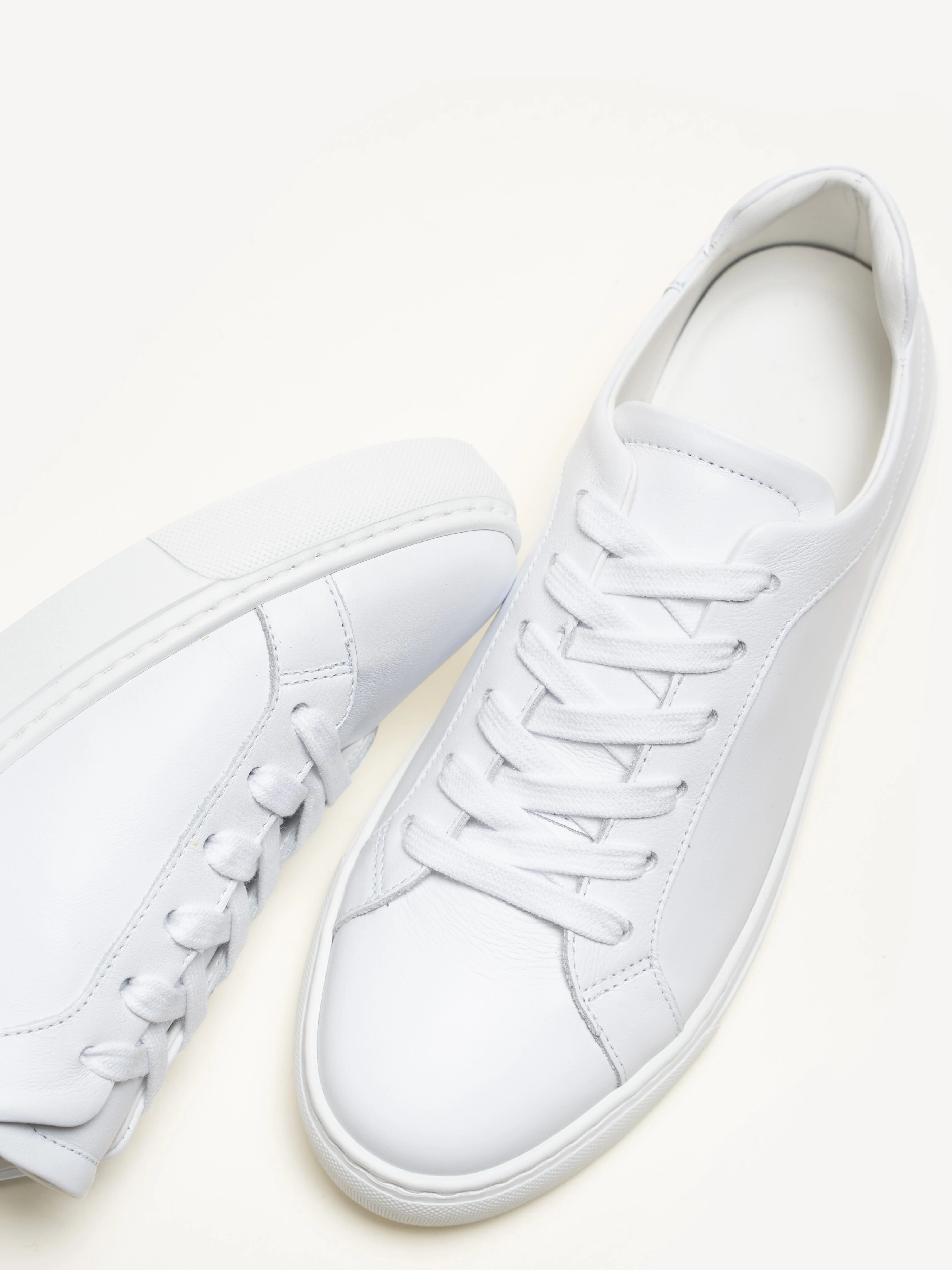 The Palestra Due (Sample Sale) - Image 4
