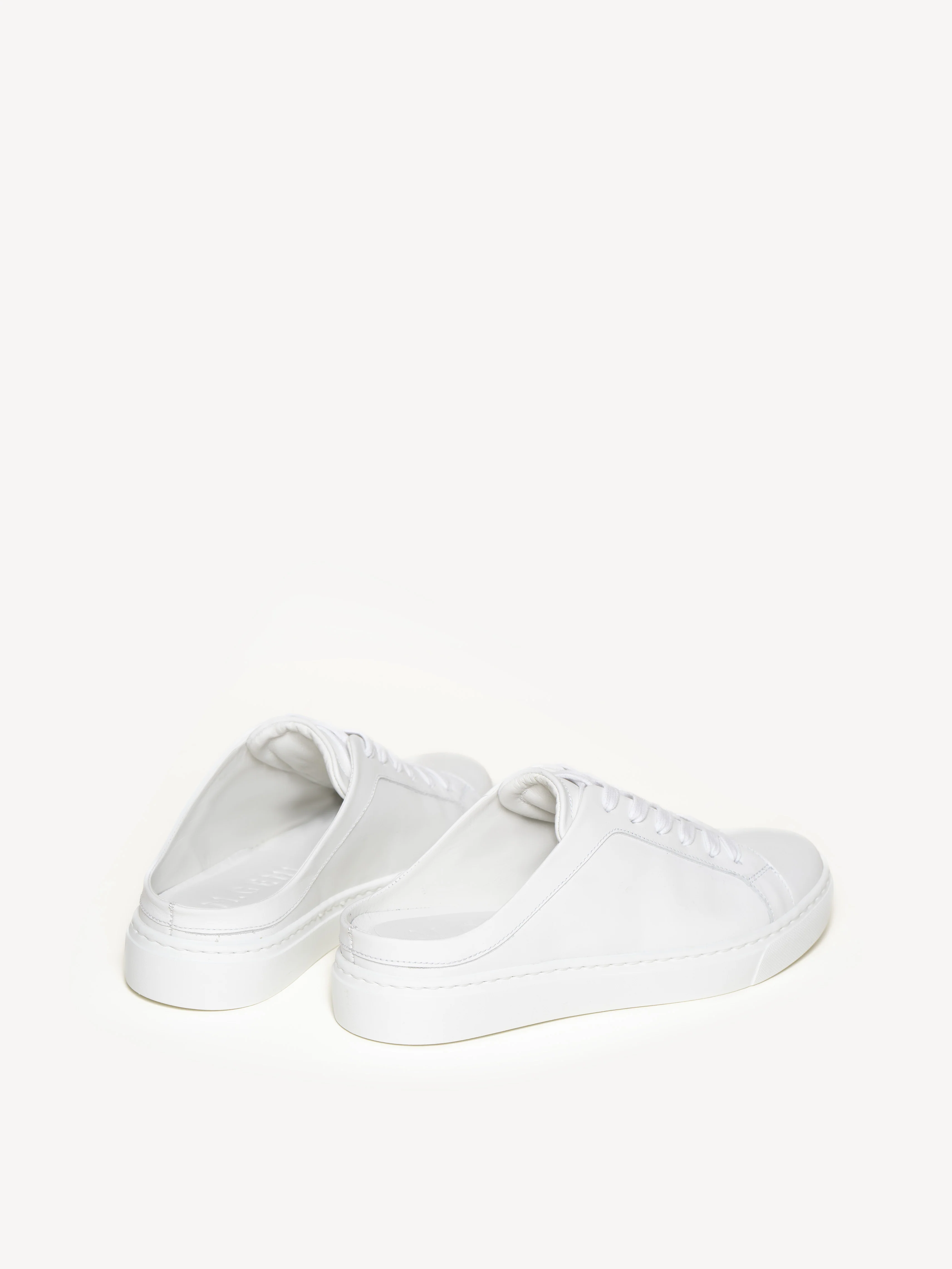 The Palestra Mule - Image 3