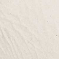 The Petalo - Image 4
