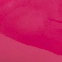 The Rosella - Image 4