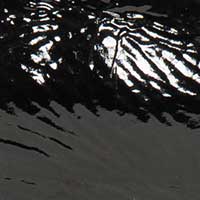 The Sacca Donna - Image 5