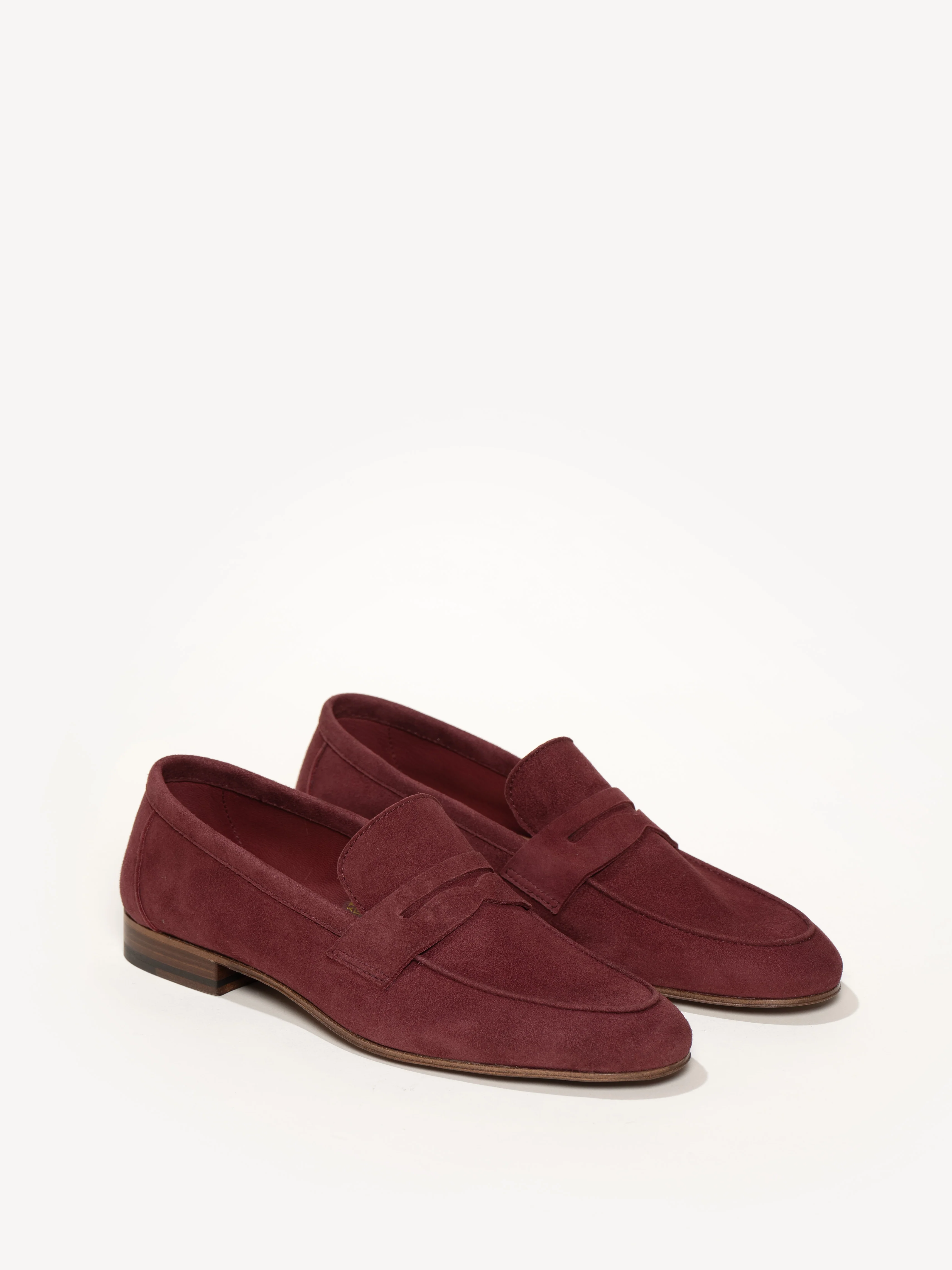 The Sacca Donna - Image 2