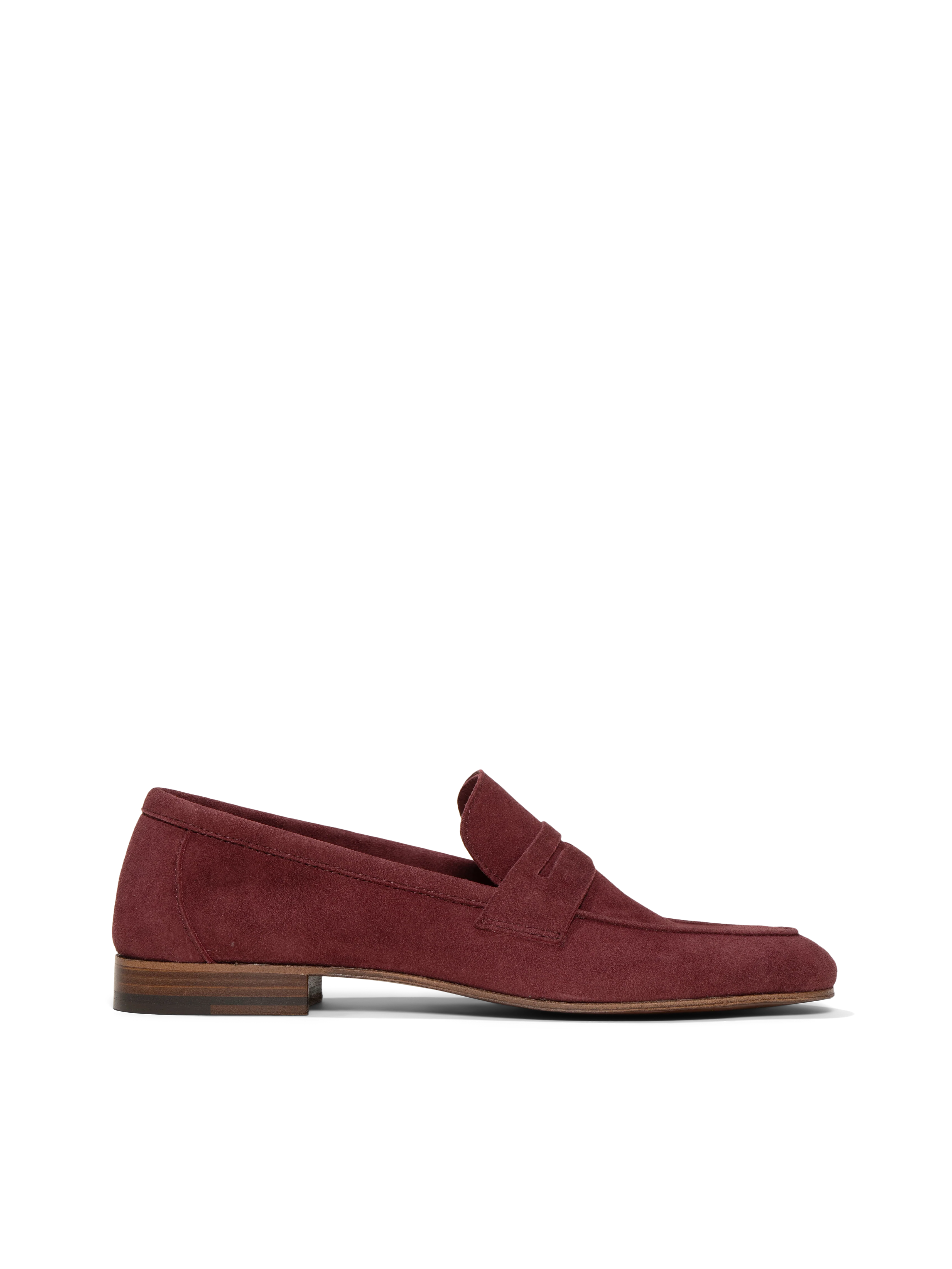The Sacca Donna - Image 6