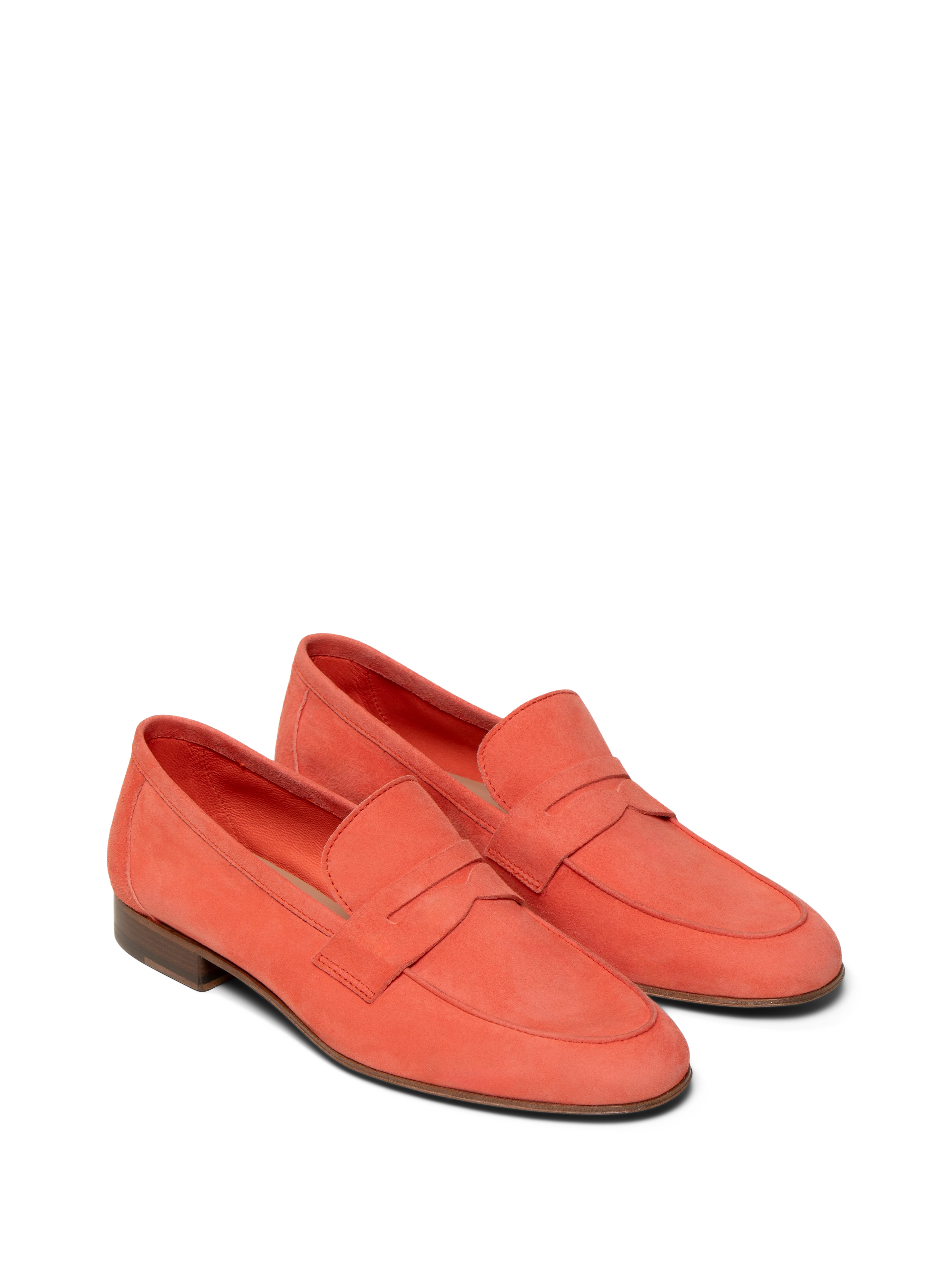 The Sacca Donna - Image 10