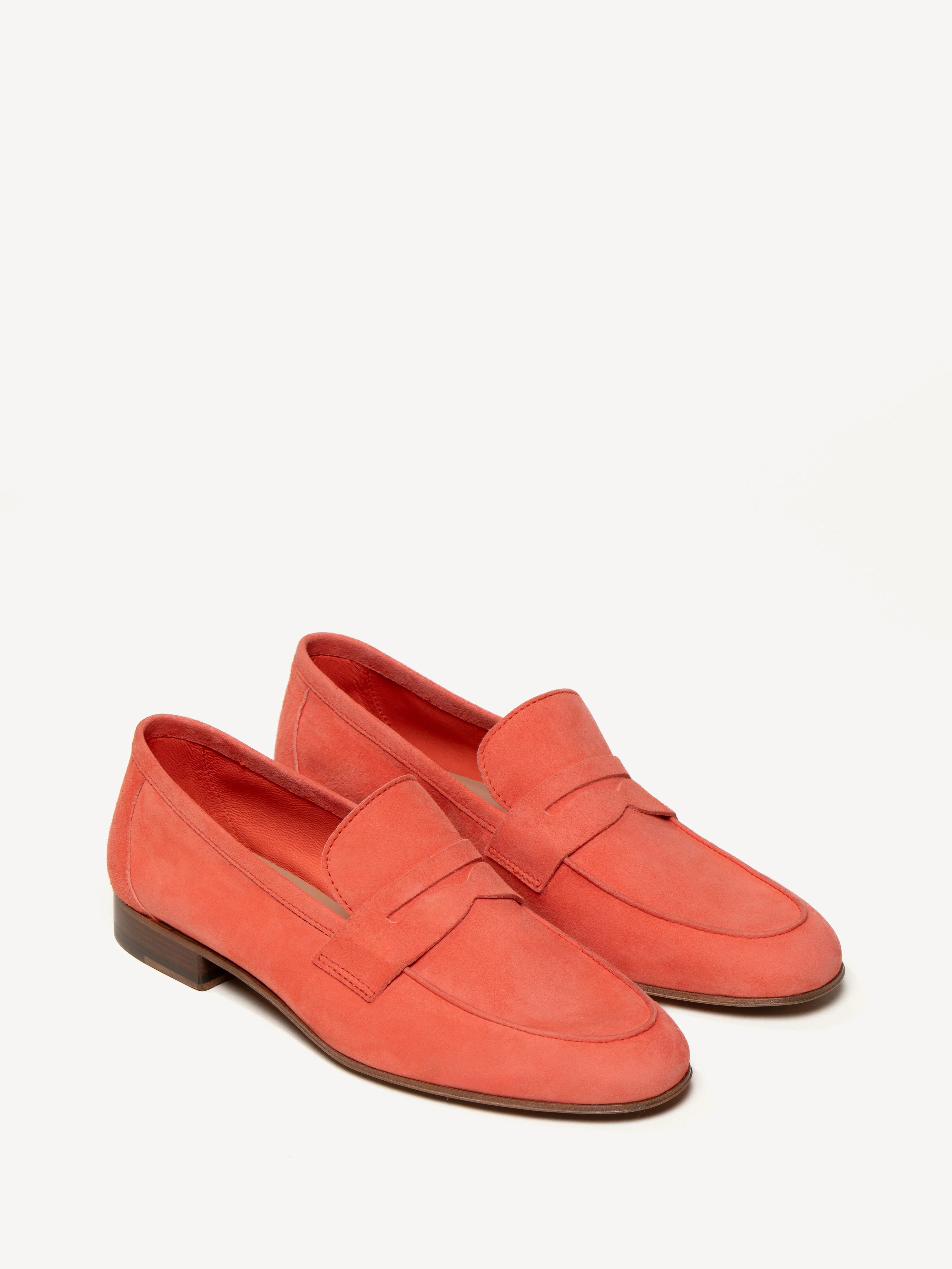 The Sacca Donna - Image 2