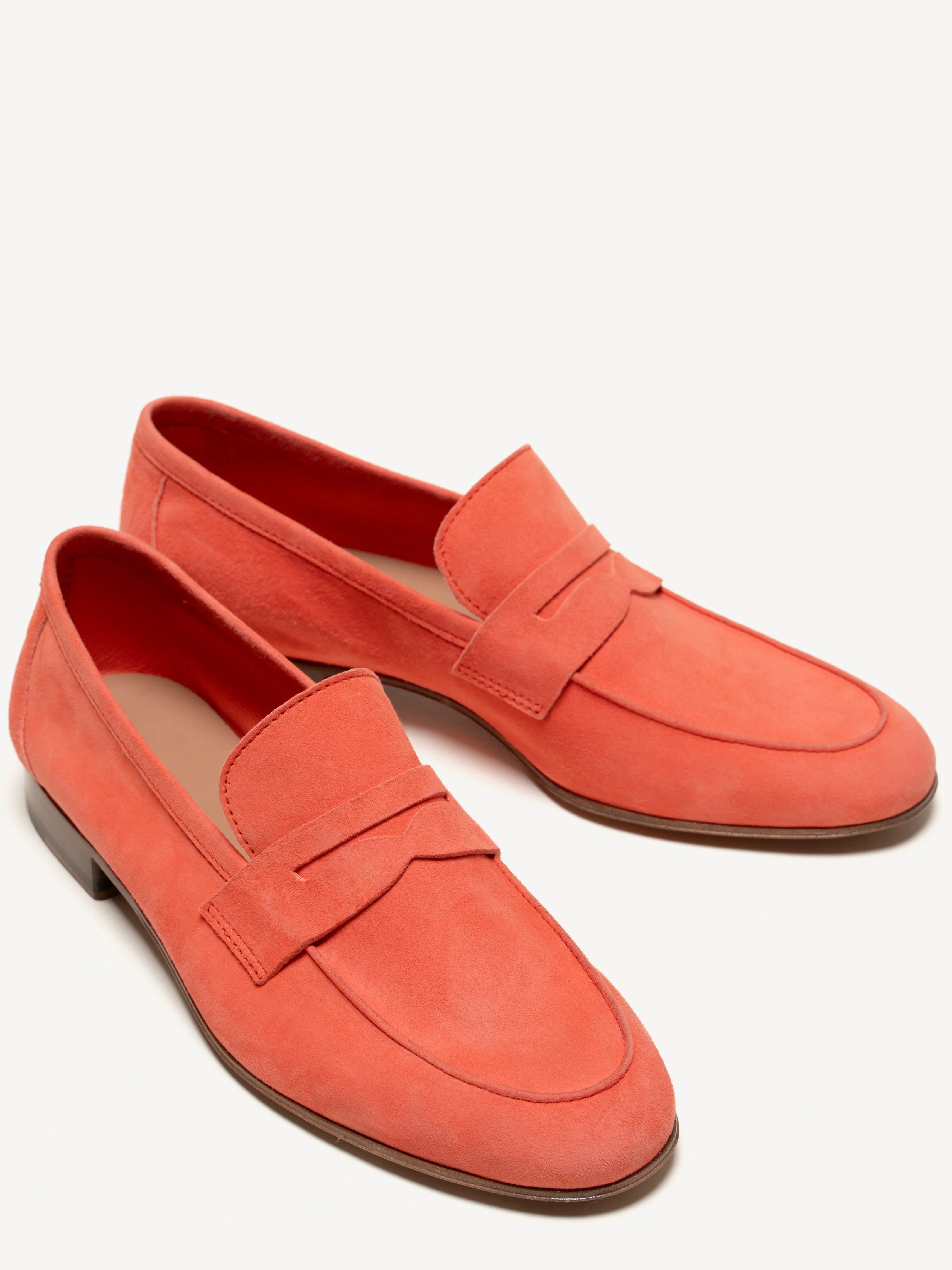 The Sacca Donna - Image 3
