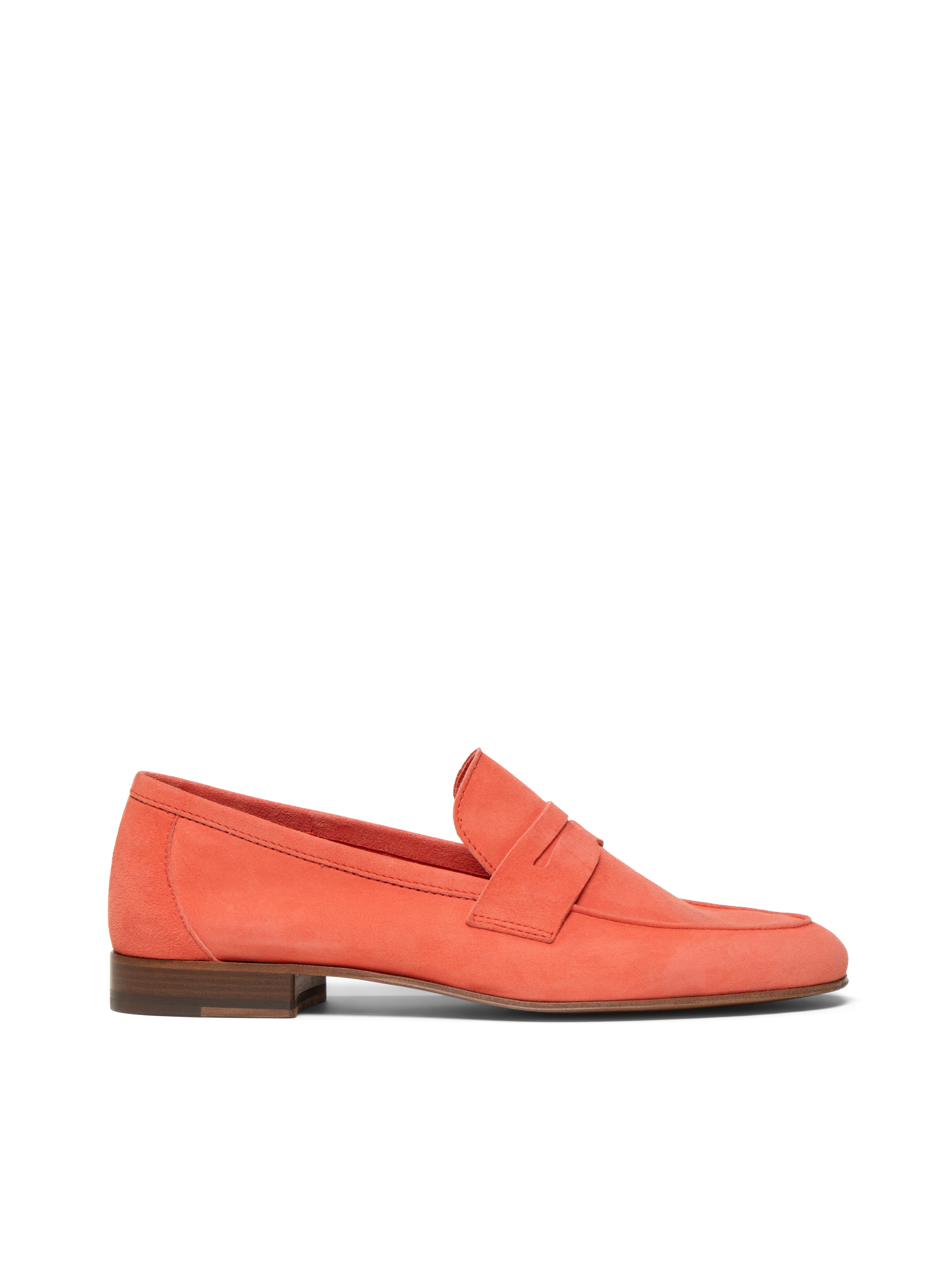 The Sacca Donna - Image 9