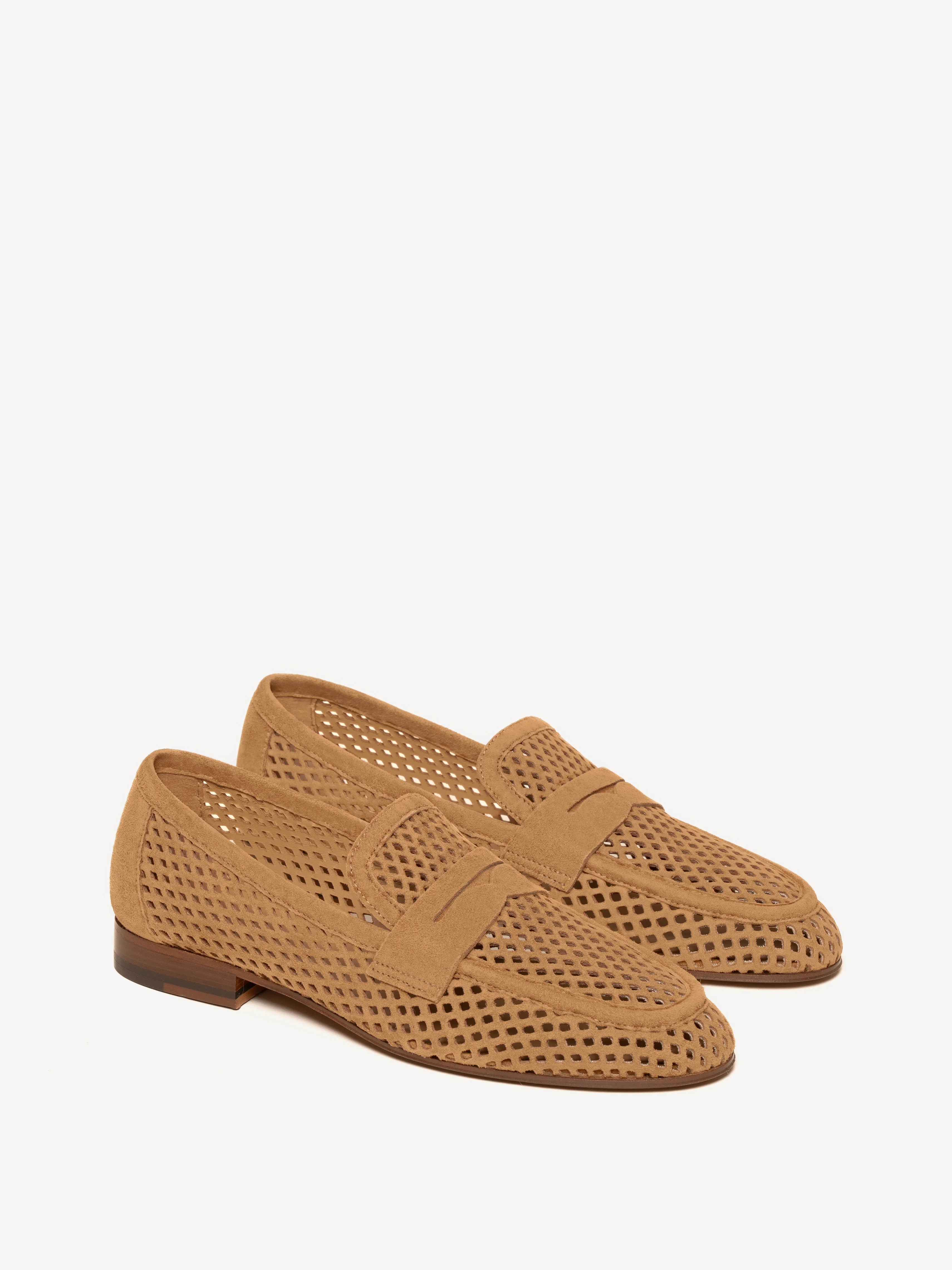 The Sacca Donna Lattice