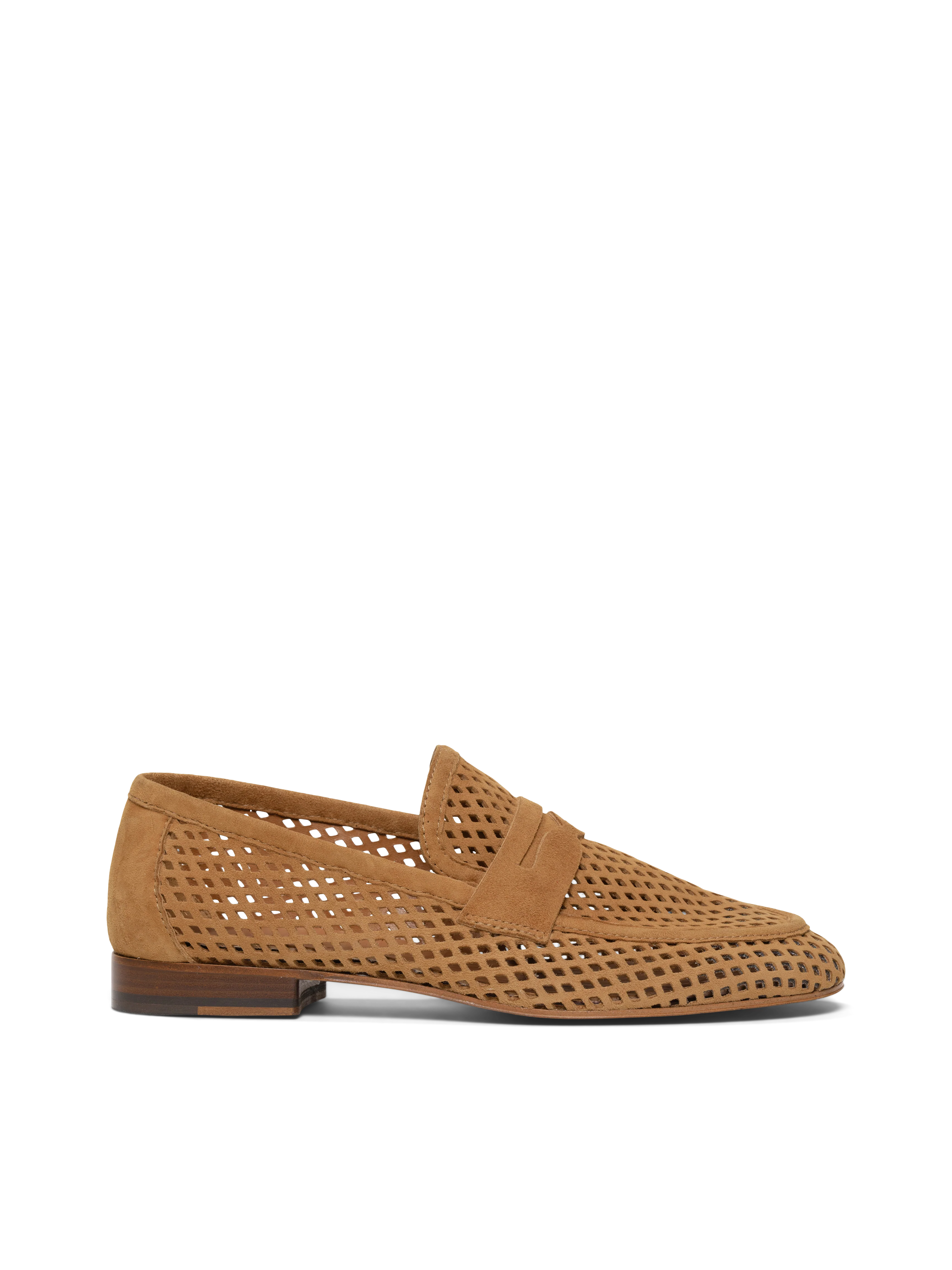 The Sacca Donna Lattice - Image 6