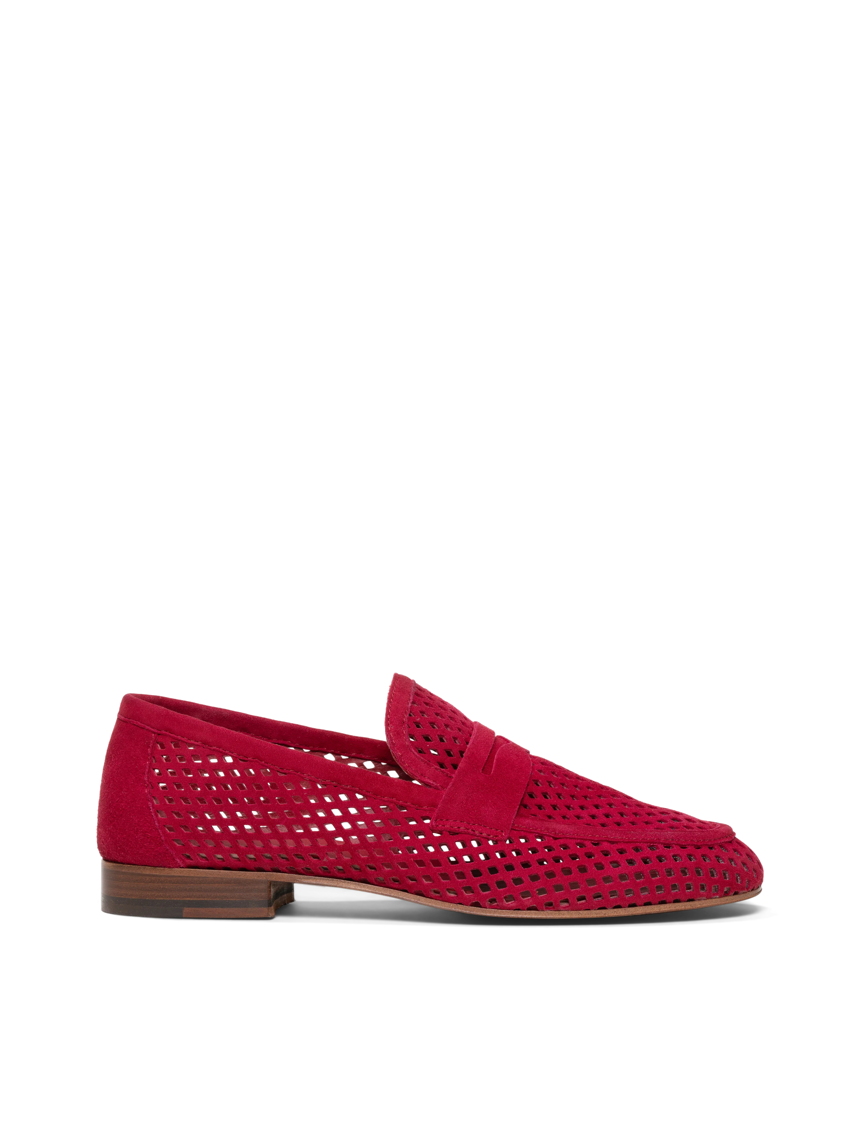 The Sacca Donna Lattice - Image 8