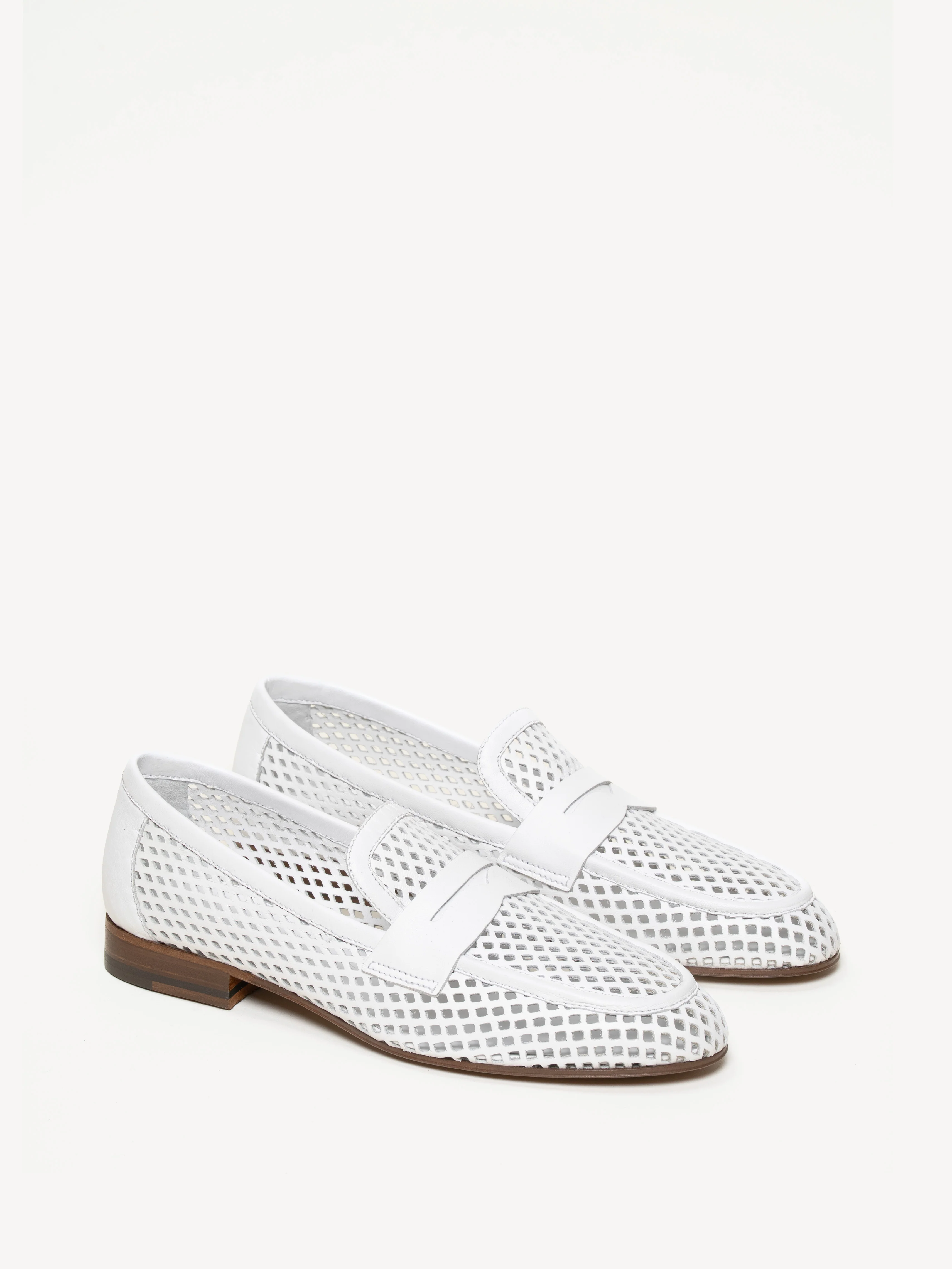 The Sacca Donna Lattice