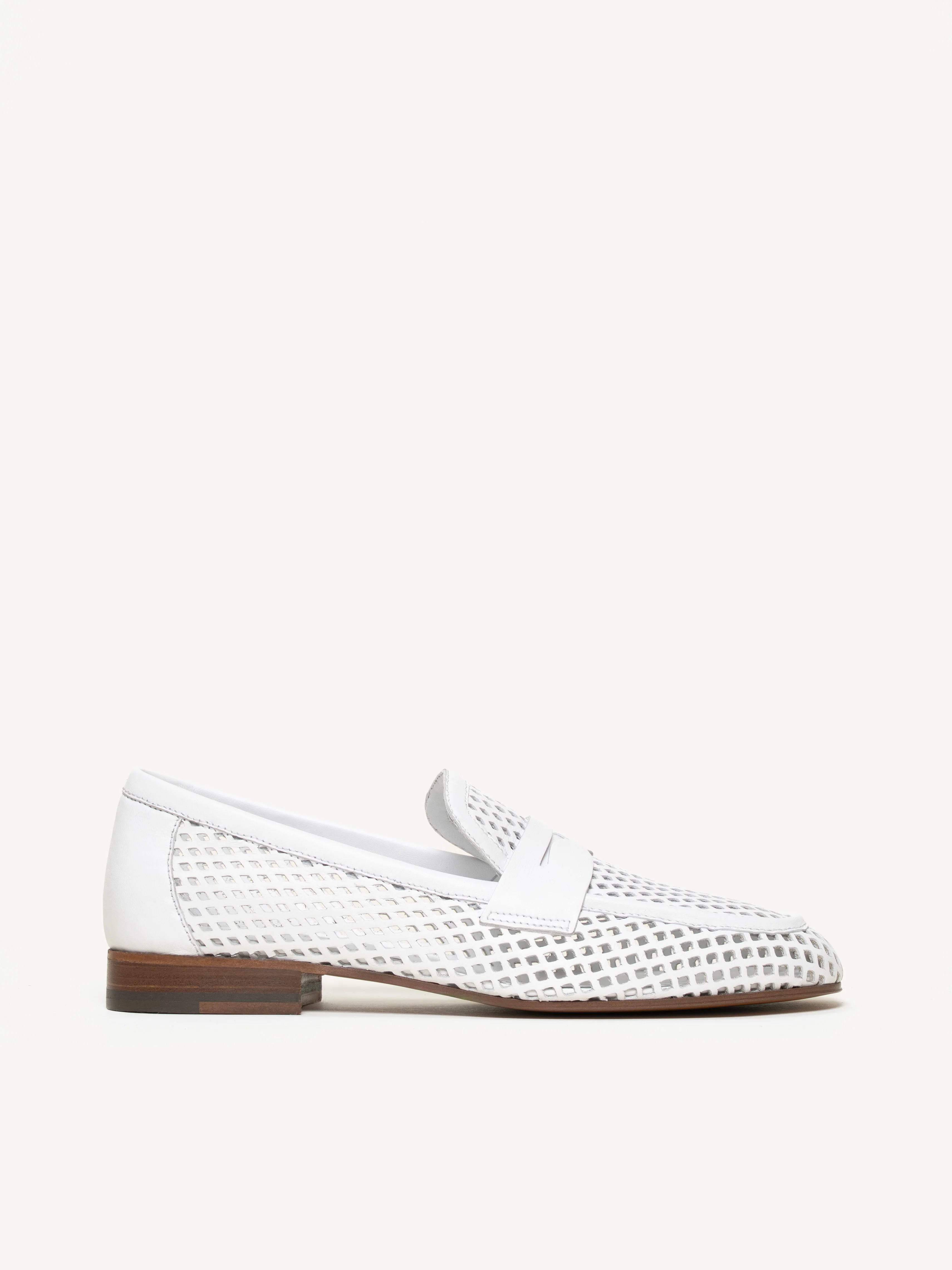 The Sacca Donna Lattice - Image 2