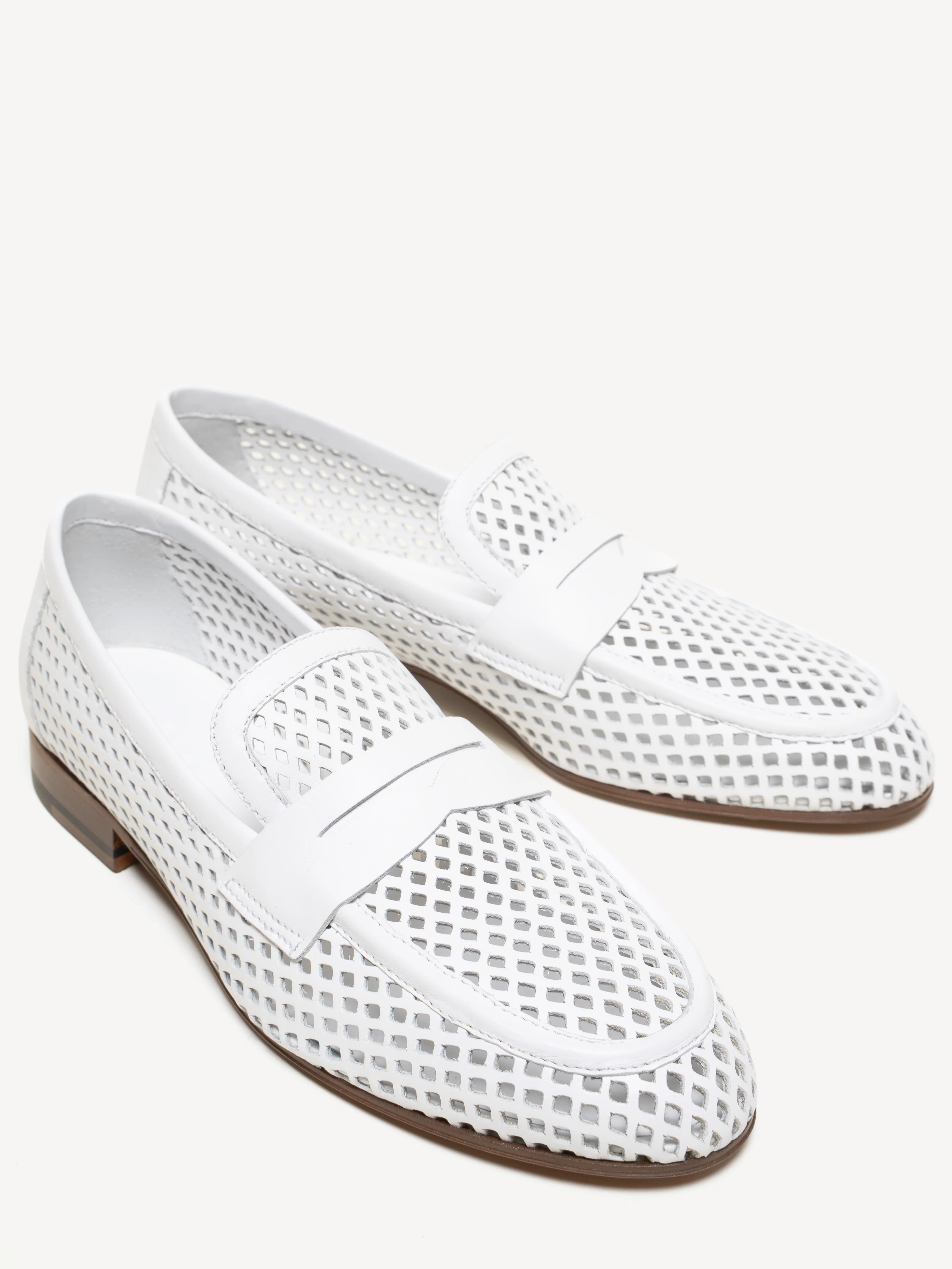The Sacca Donna Lattice - Image 3