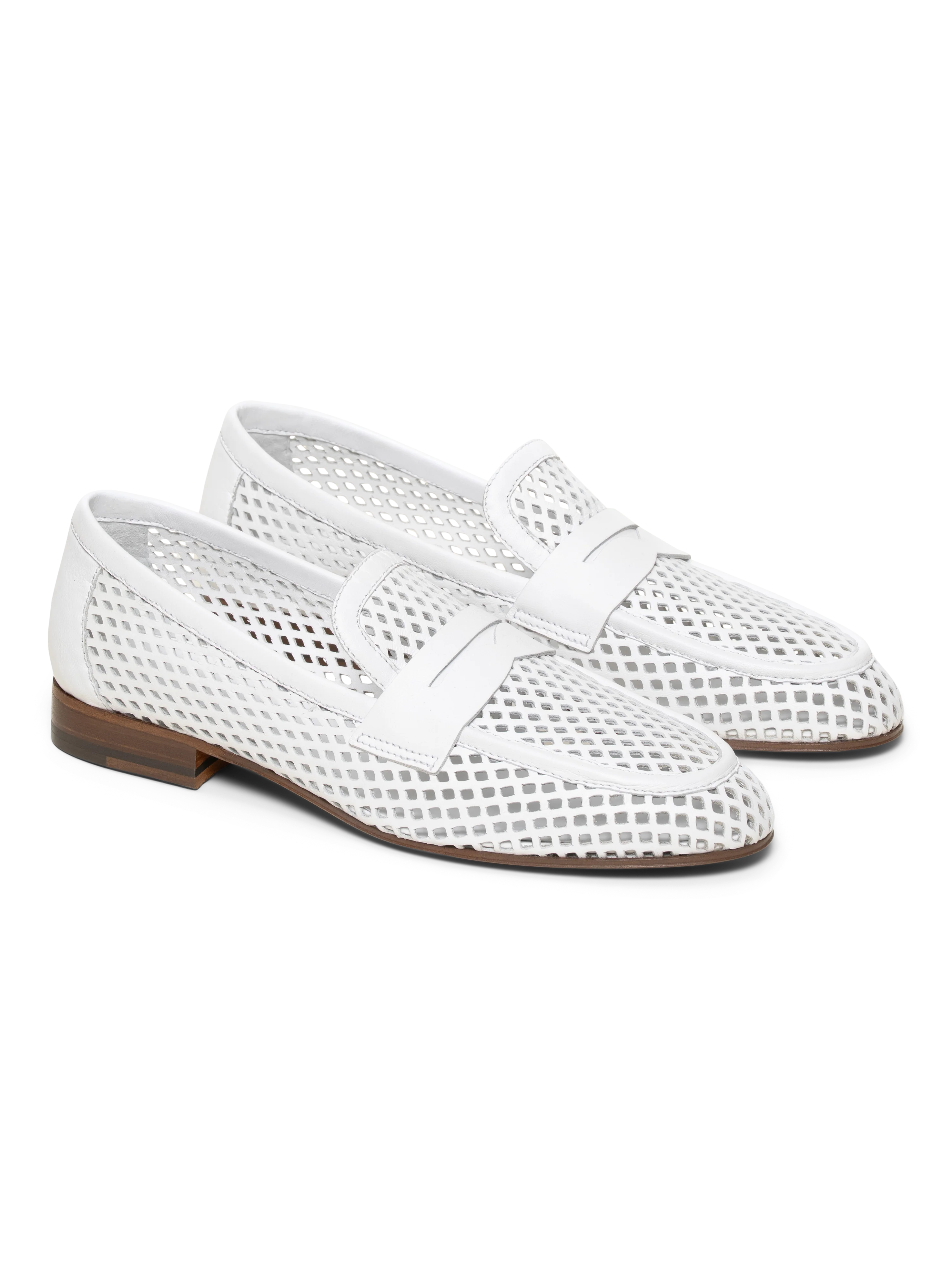 The Sacca Donna Lattice - Image 8