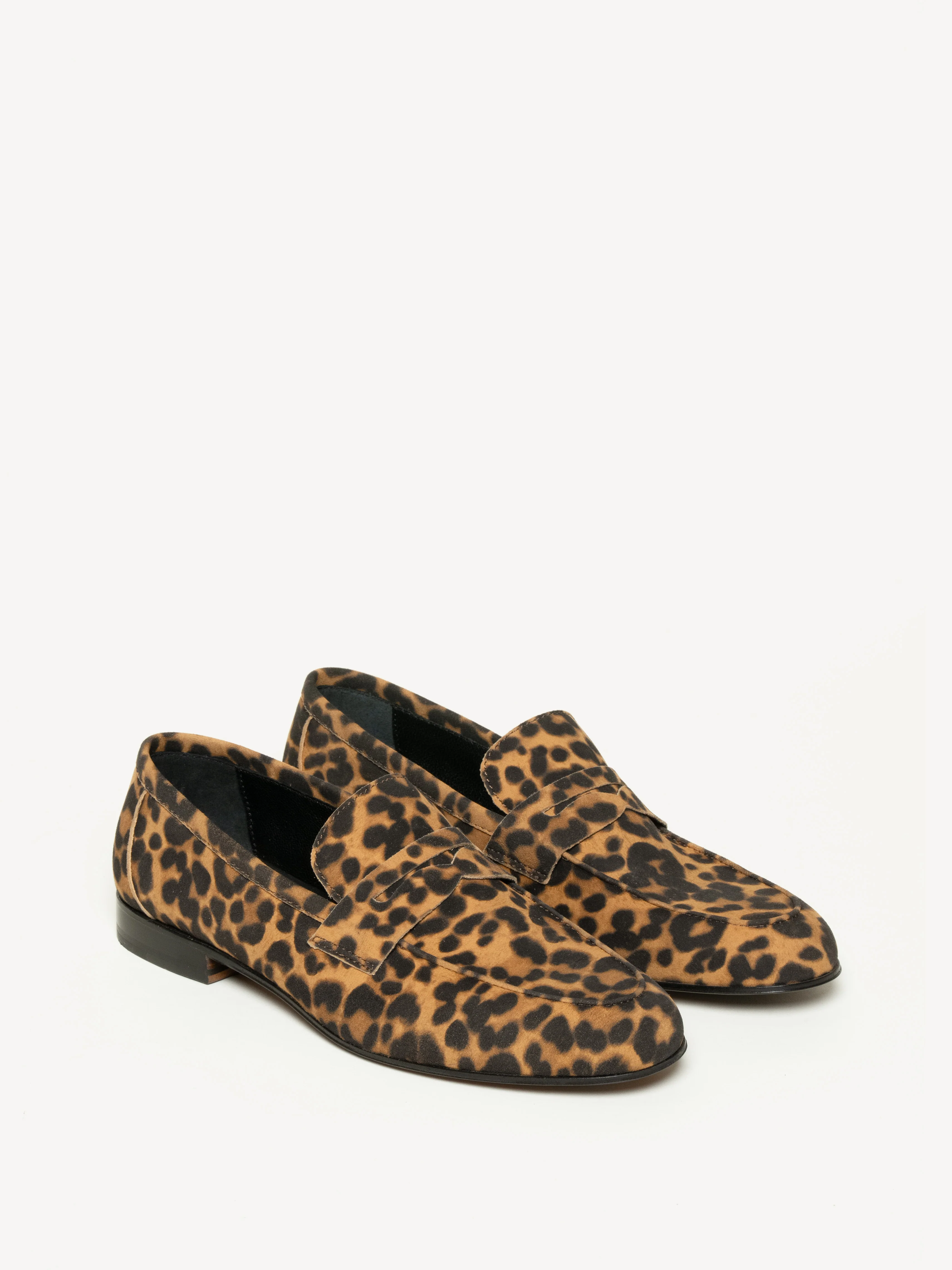 The Sacca Donna - Image 2