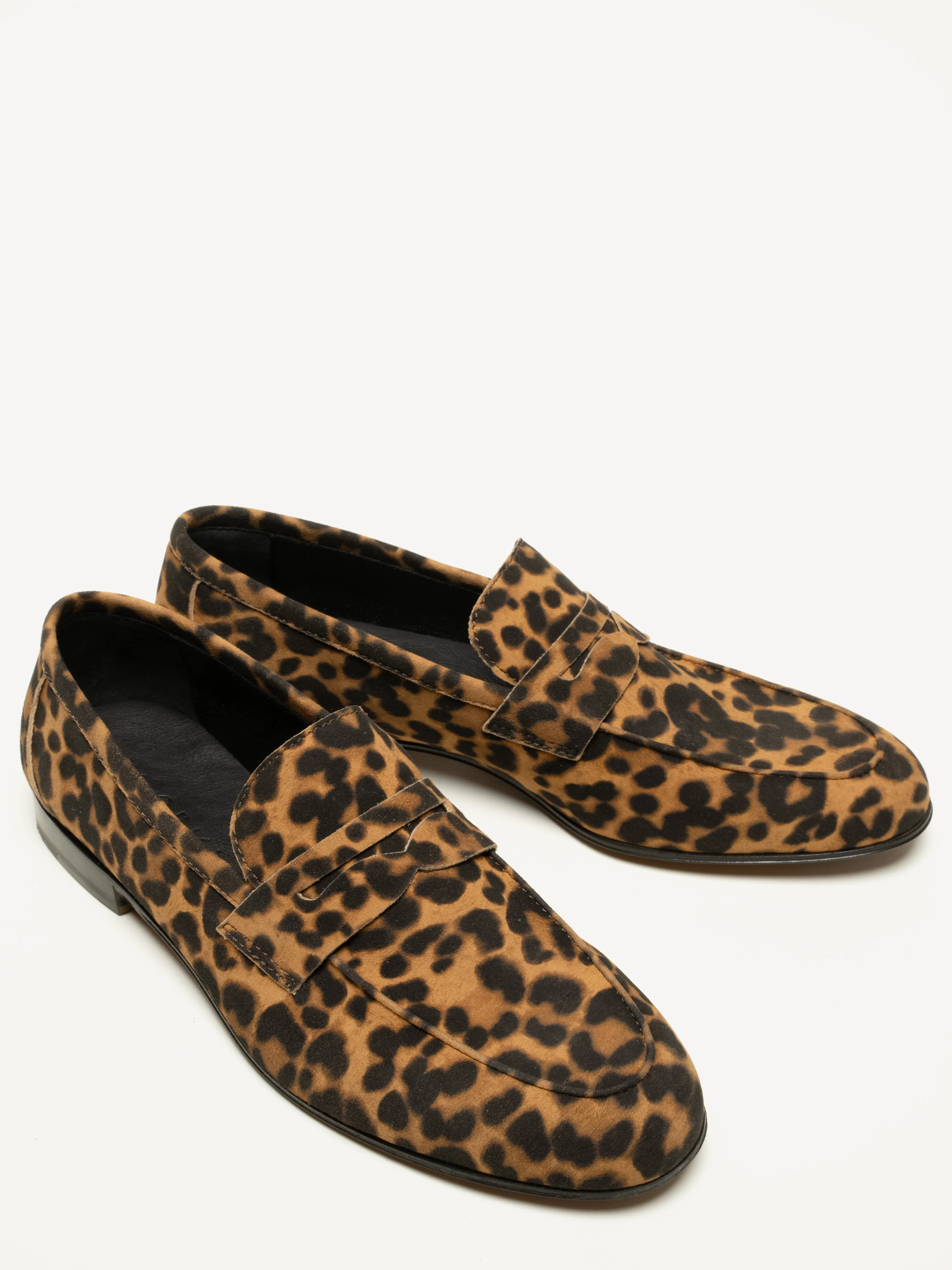 The Sacca Donna - Image 4
