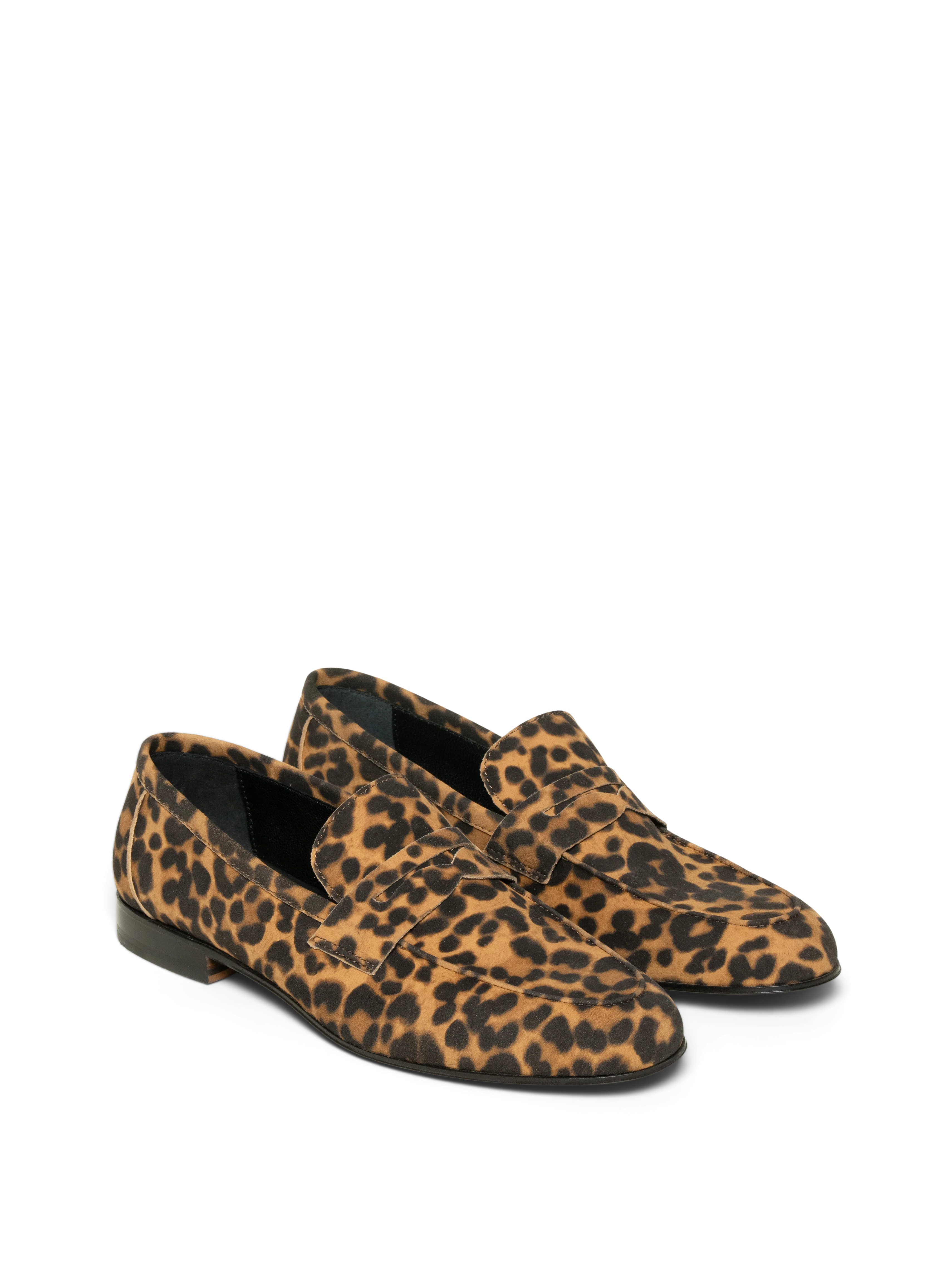 The Sacca Donna - Image 8