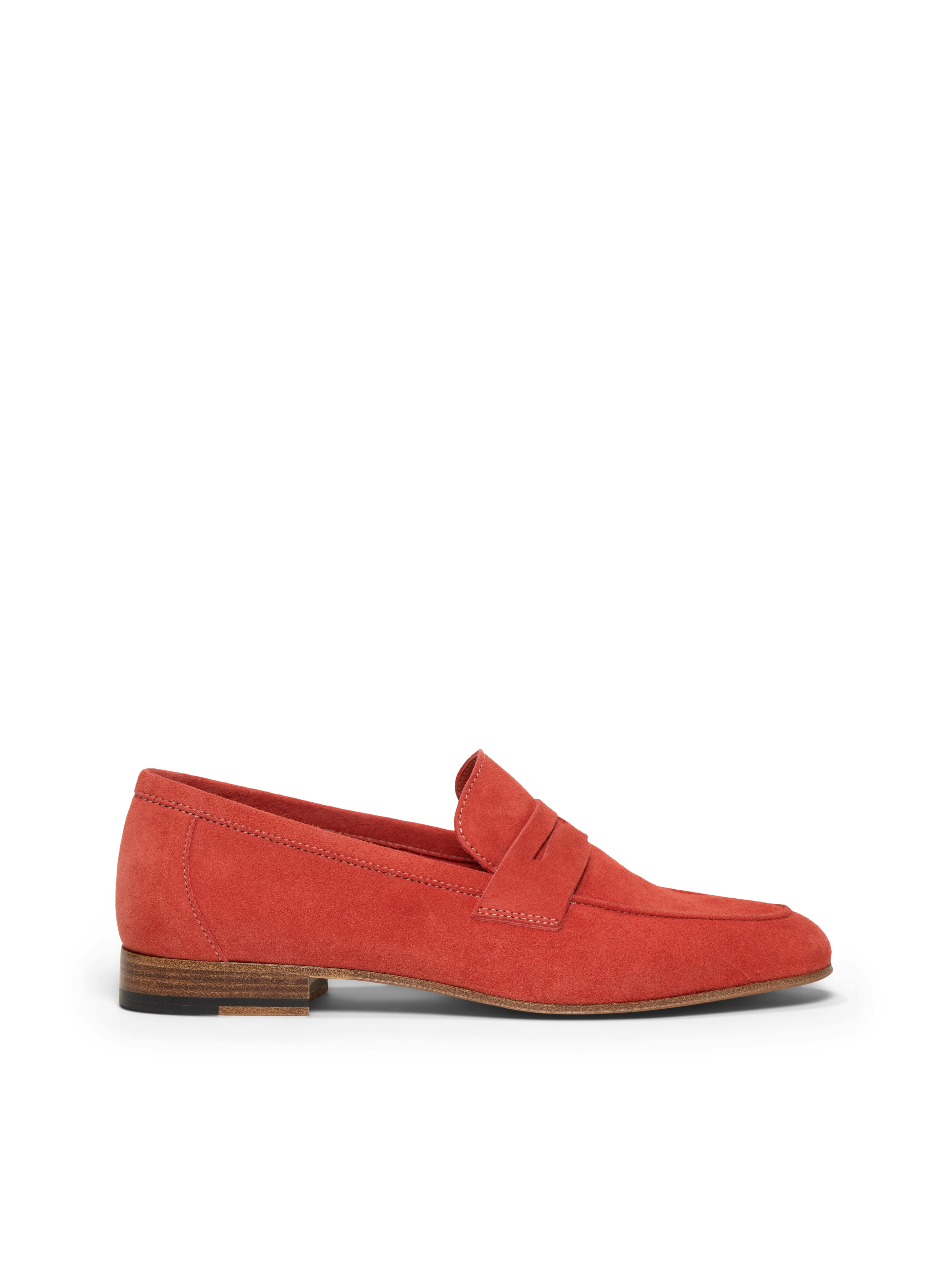 The Sacca Donna - Image 10