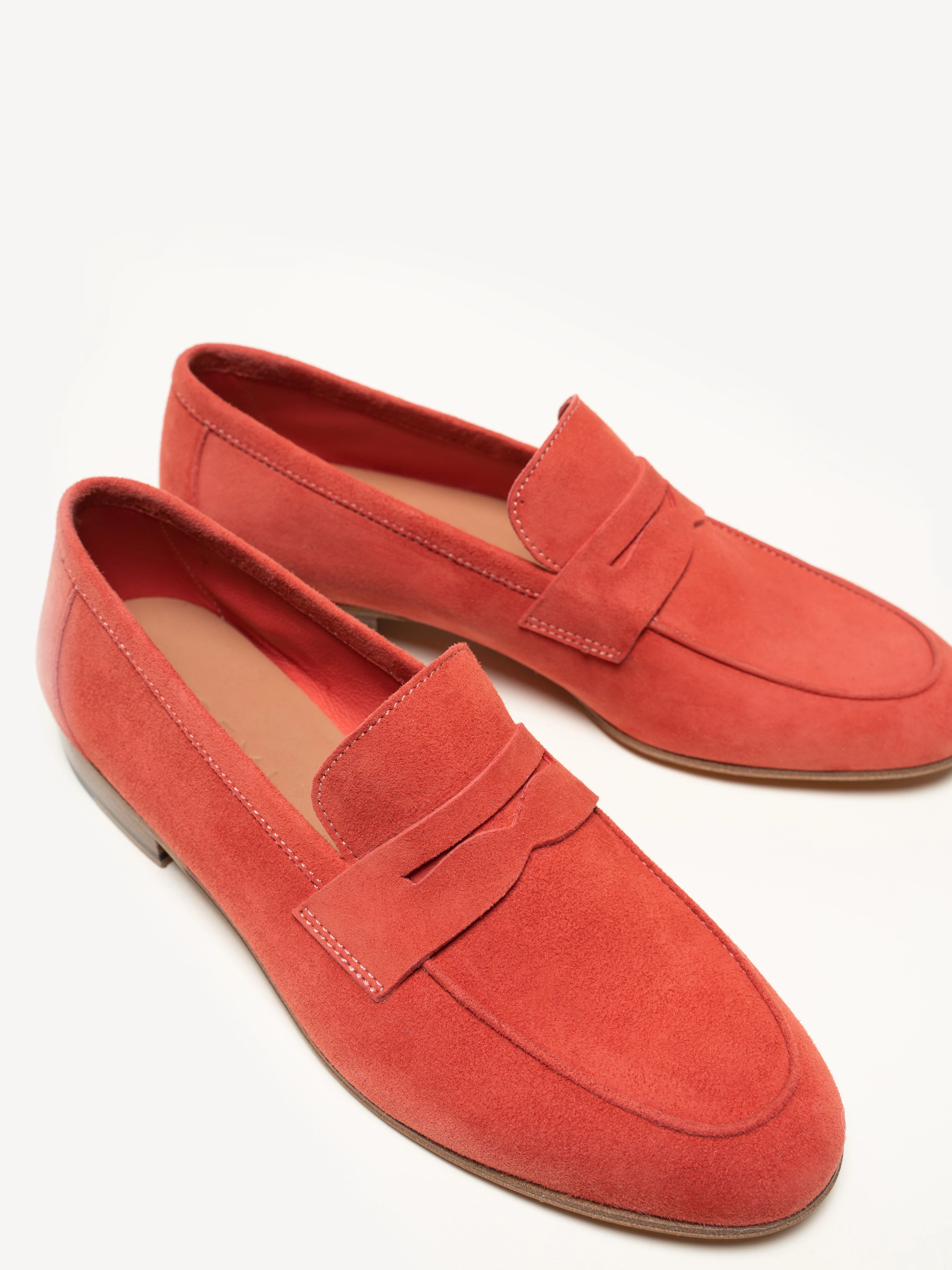 The Sacca Donna - Image 4