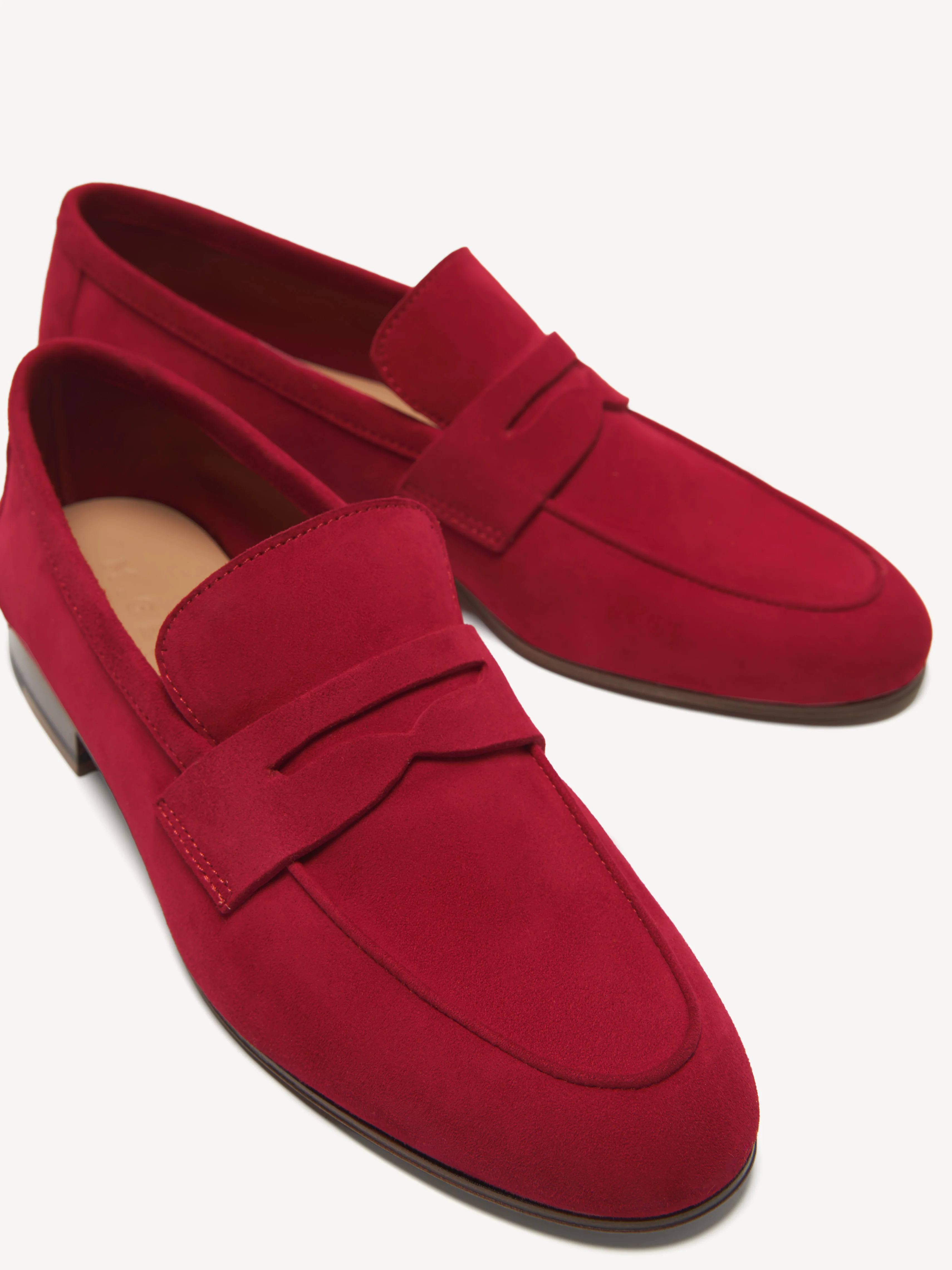 The Sacca Donna - Image 4