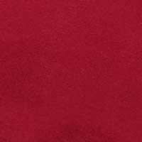 The Sacca Donna - Image 5