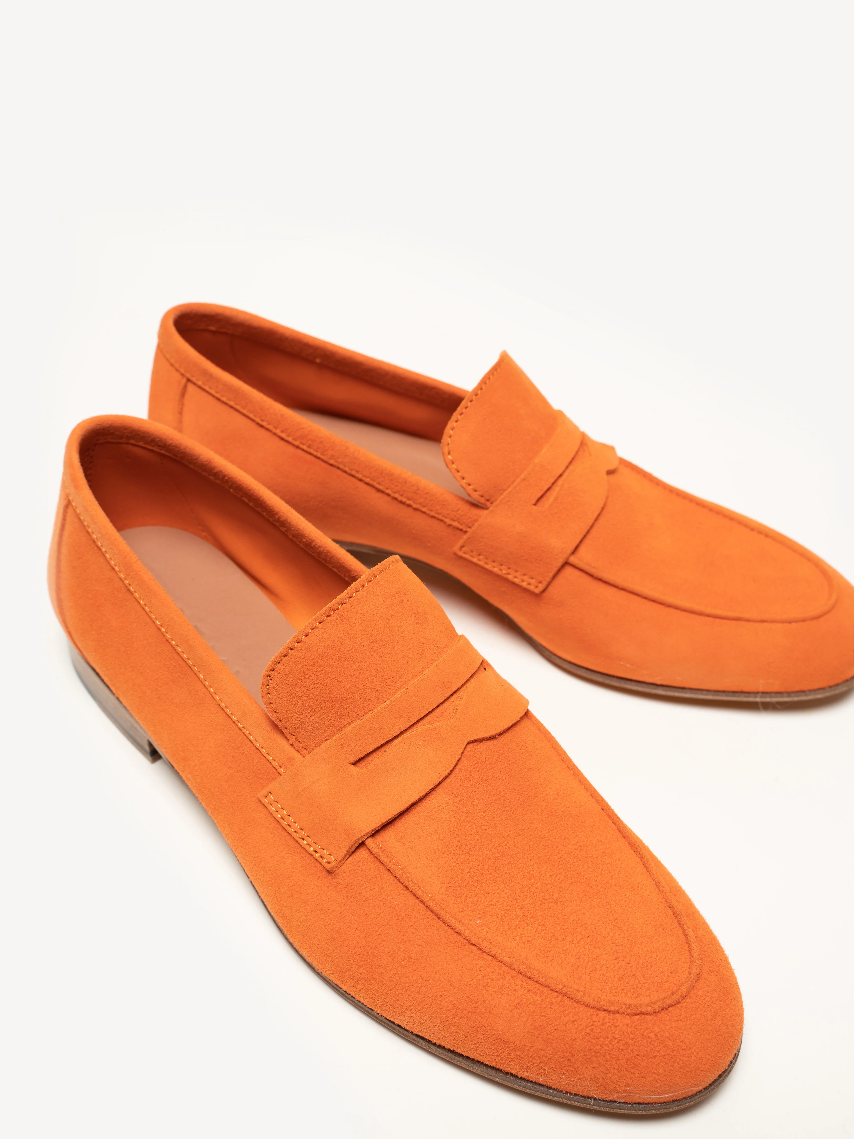 The Sacca Donna - Image 4