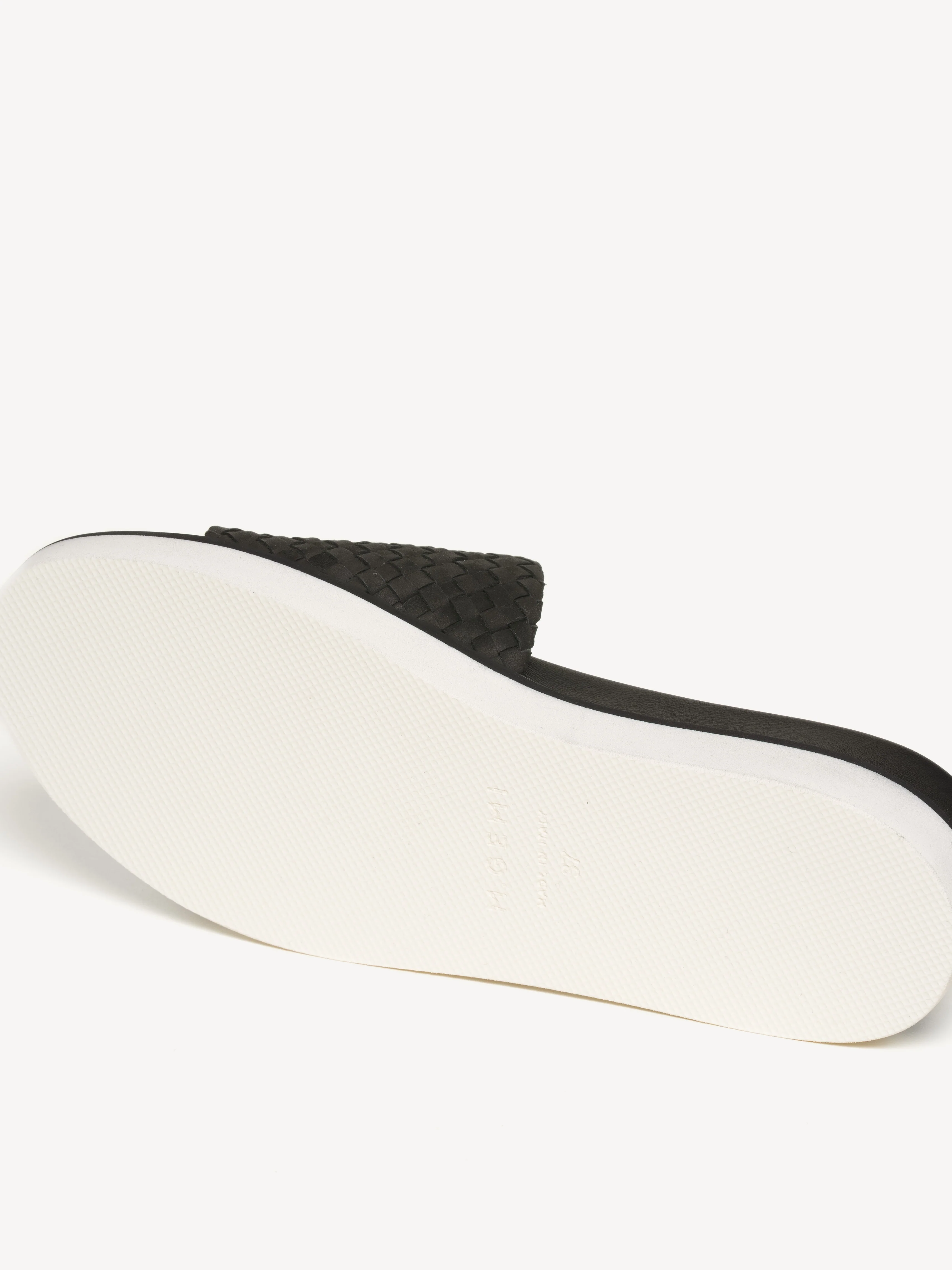 The Selene - Image 4
