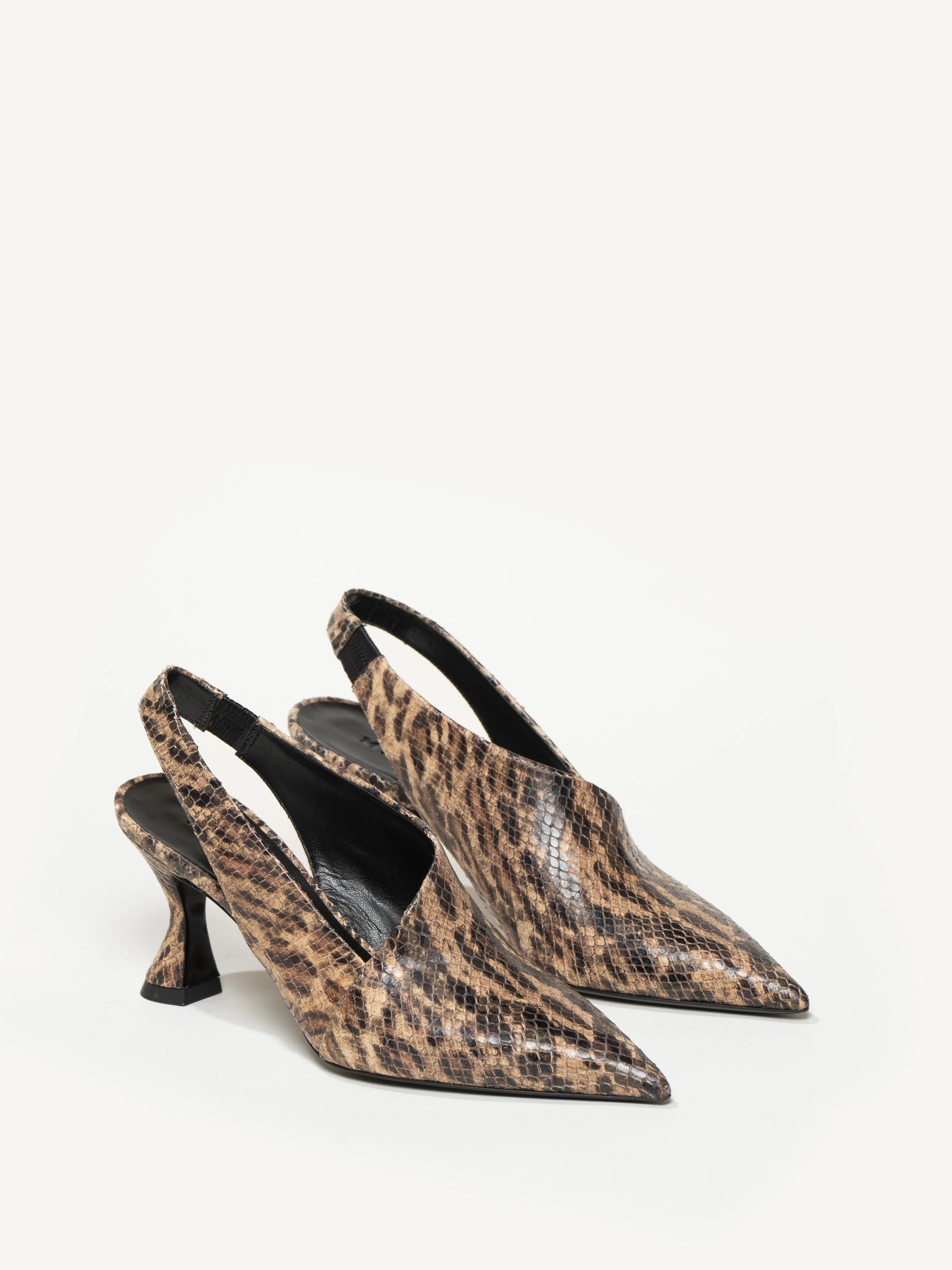 The Stefania - Image 2