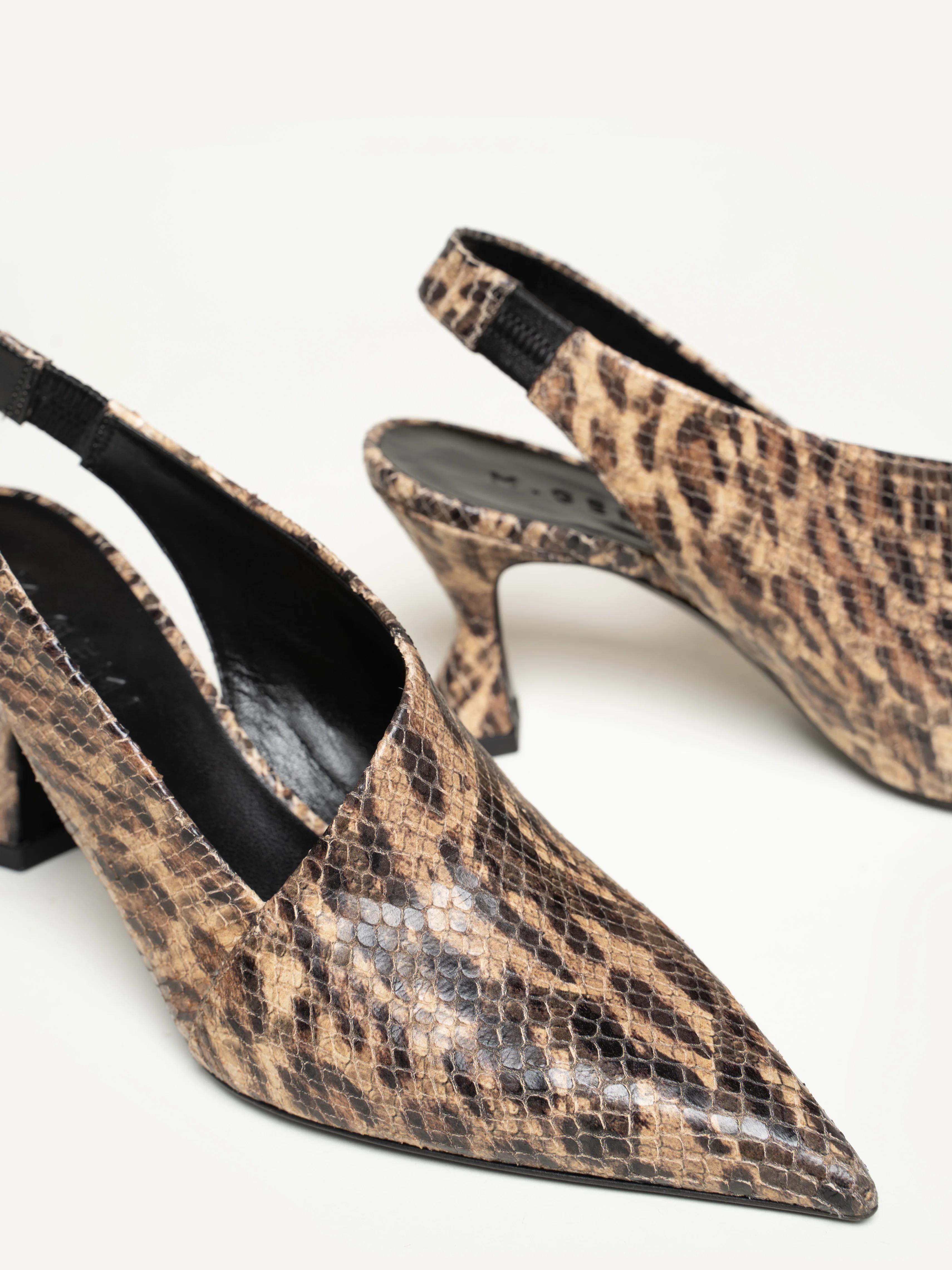 The Stefania - Image 4