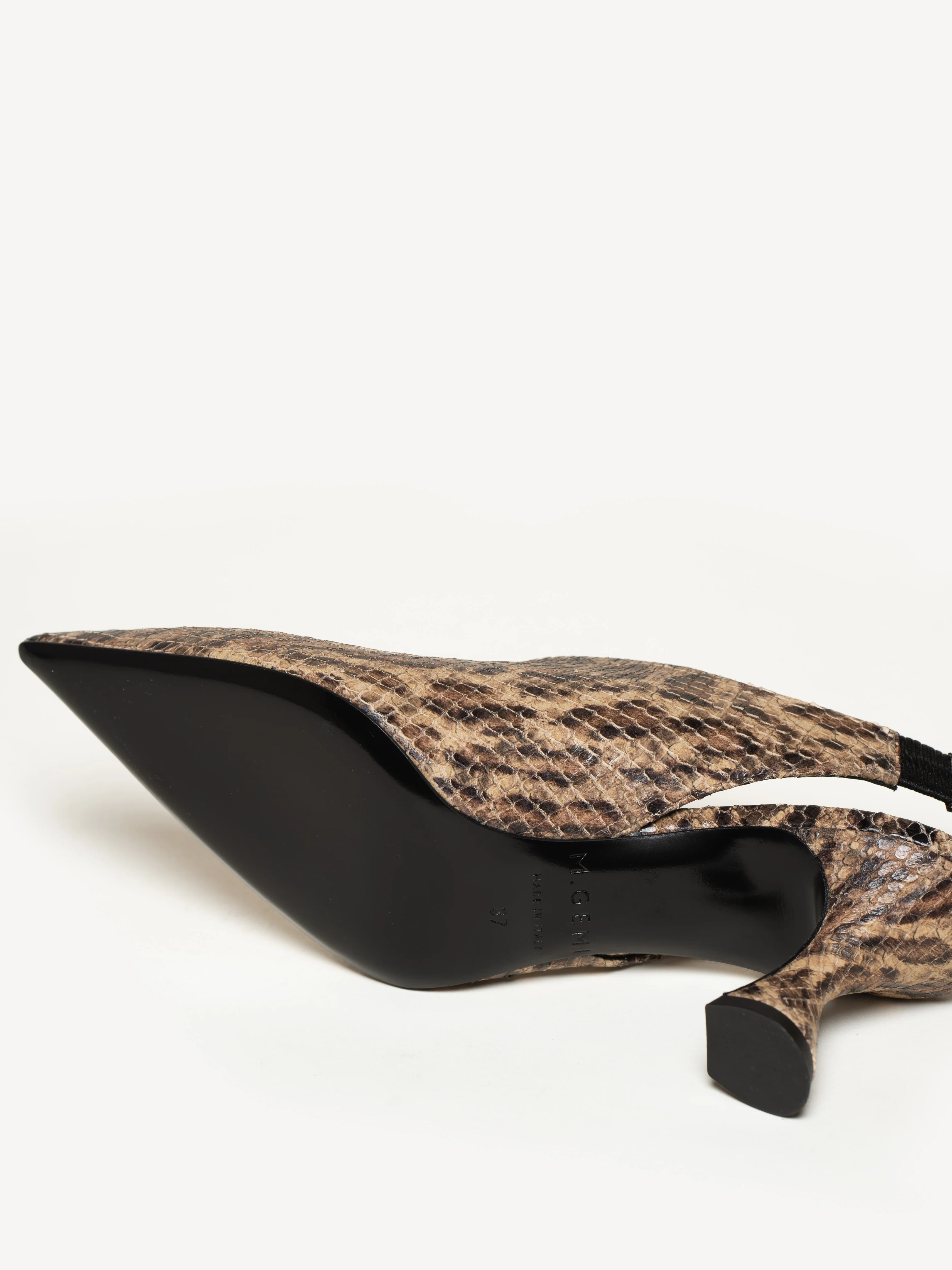 The Stefania - Image 5