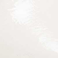 The Stefania (Sample Sale) - Image 6