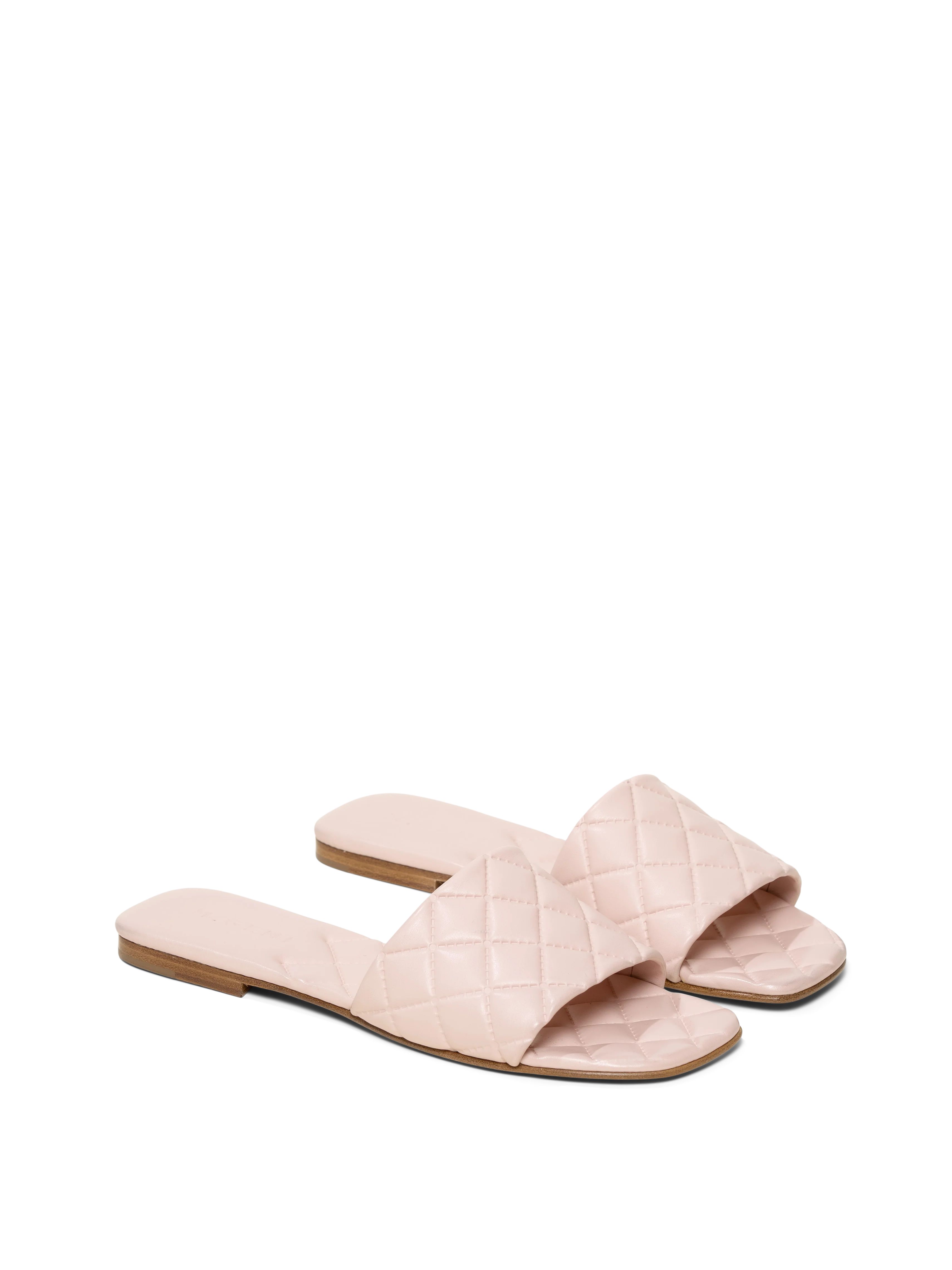 The Vanessa - Image 7