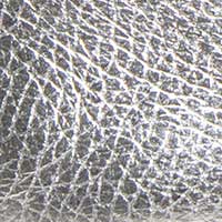 The Zoe - Image 6